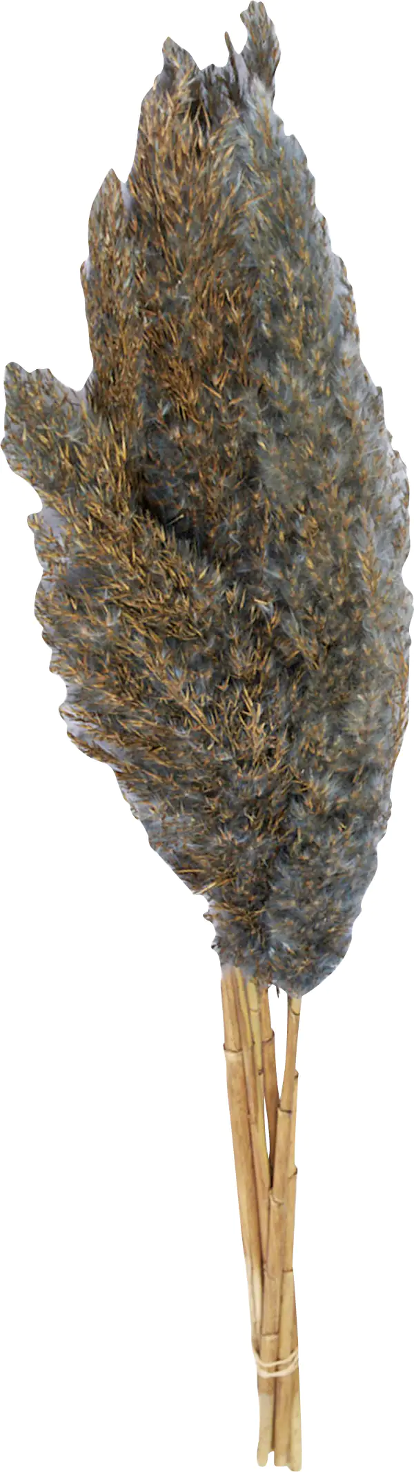 Dijk Schilffahne lang Kyan grau 110 cm