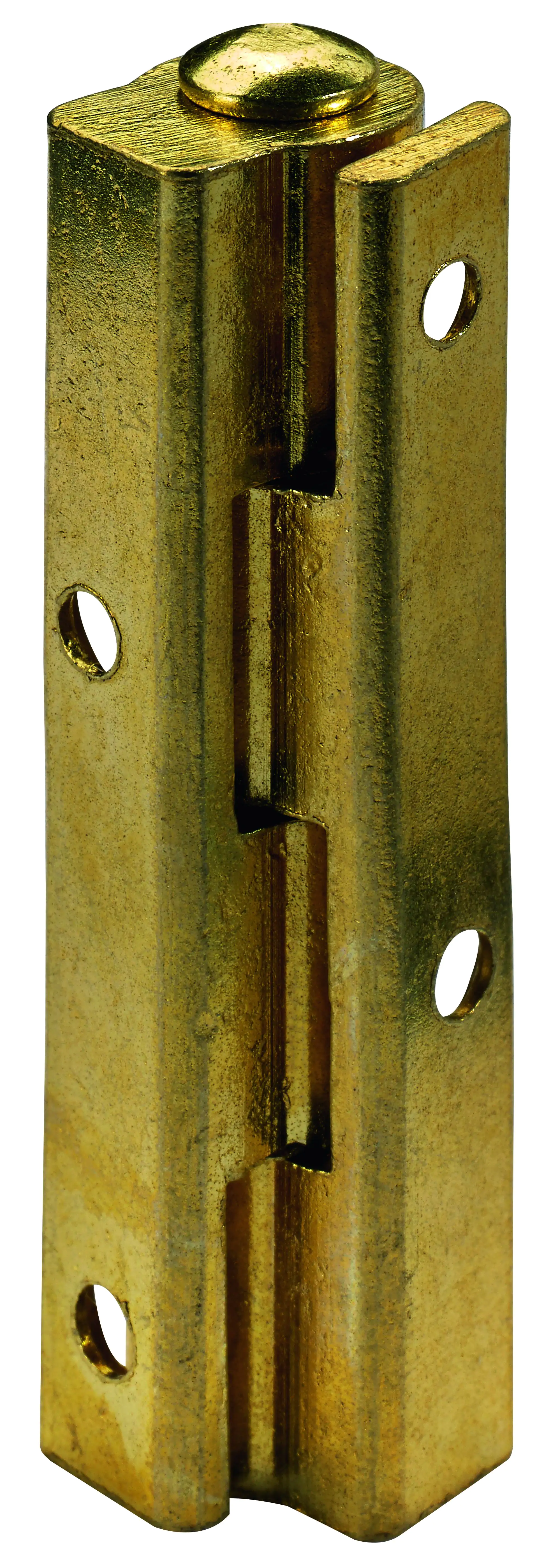 Hettich Anschraubband Stahl vermessingt vermessingt, 10 x 50 mm, 1 Stück