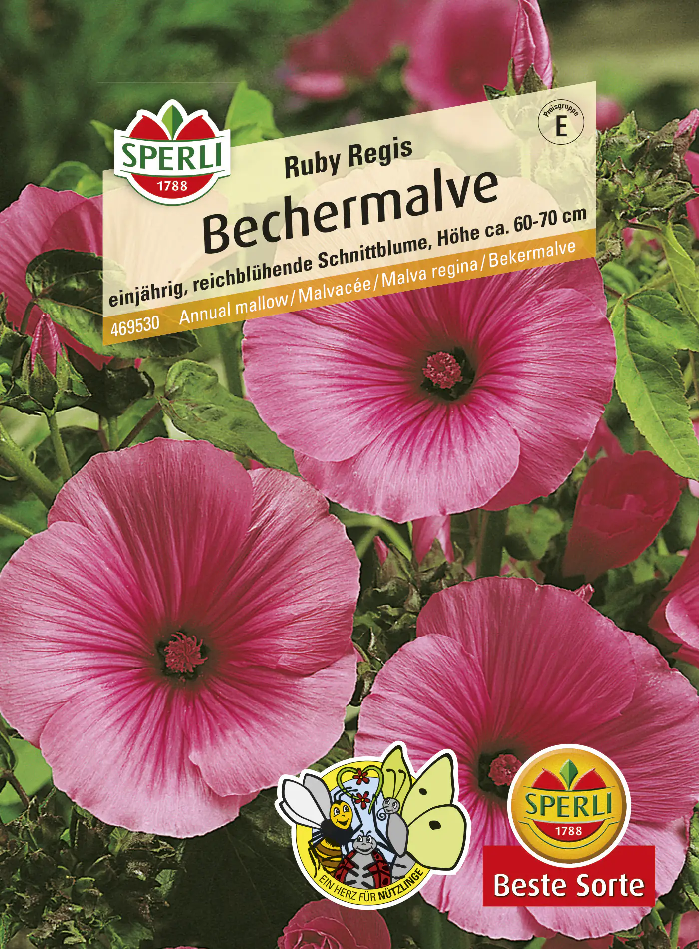 Sperli Bechermalve Ruby Regis