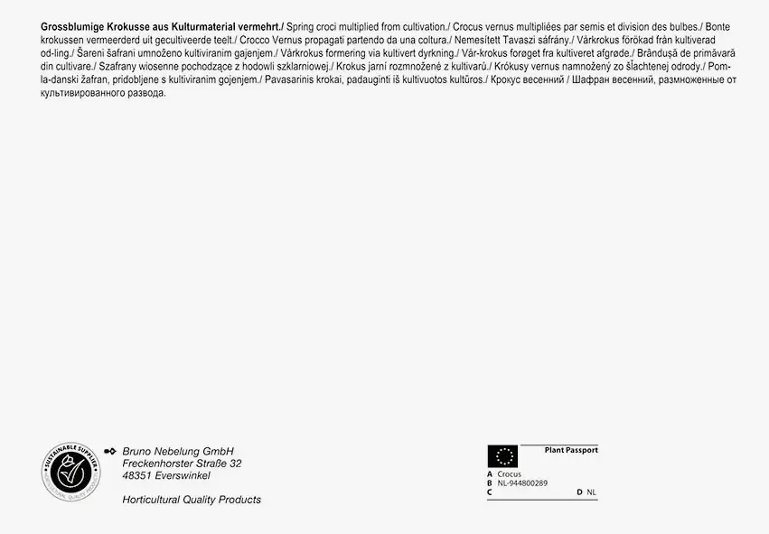 Pegasus BigBag Großblumiger Krokus Mischung Crocus vernus