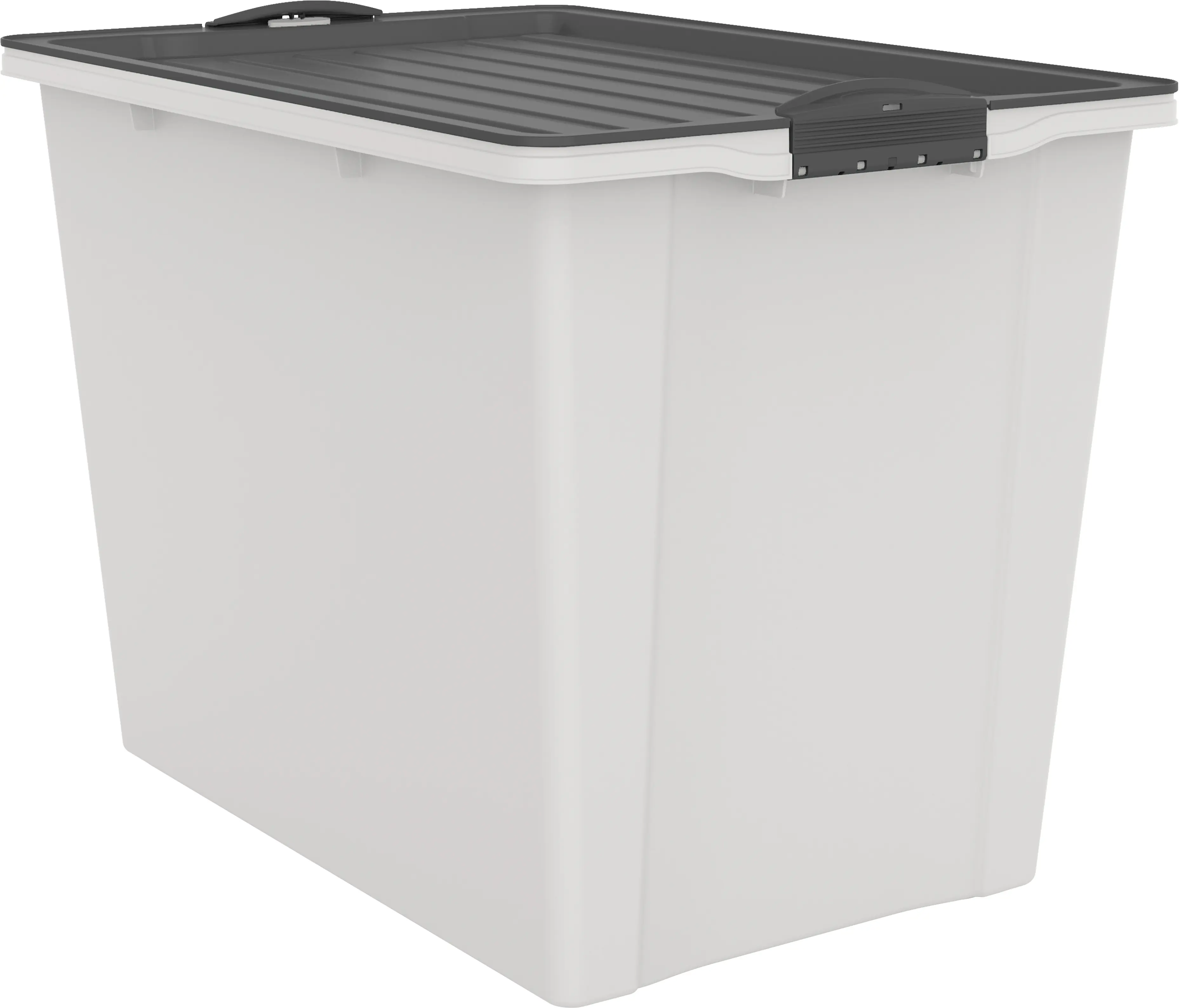 Rotho Aufbewahrungsbox Compact mit Deckel & Rollen 57 x 39,5 cm 70 L mistletoe weiß