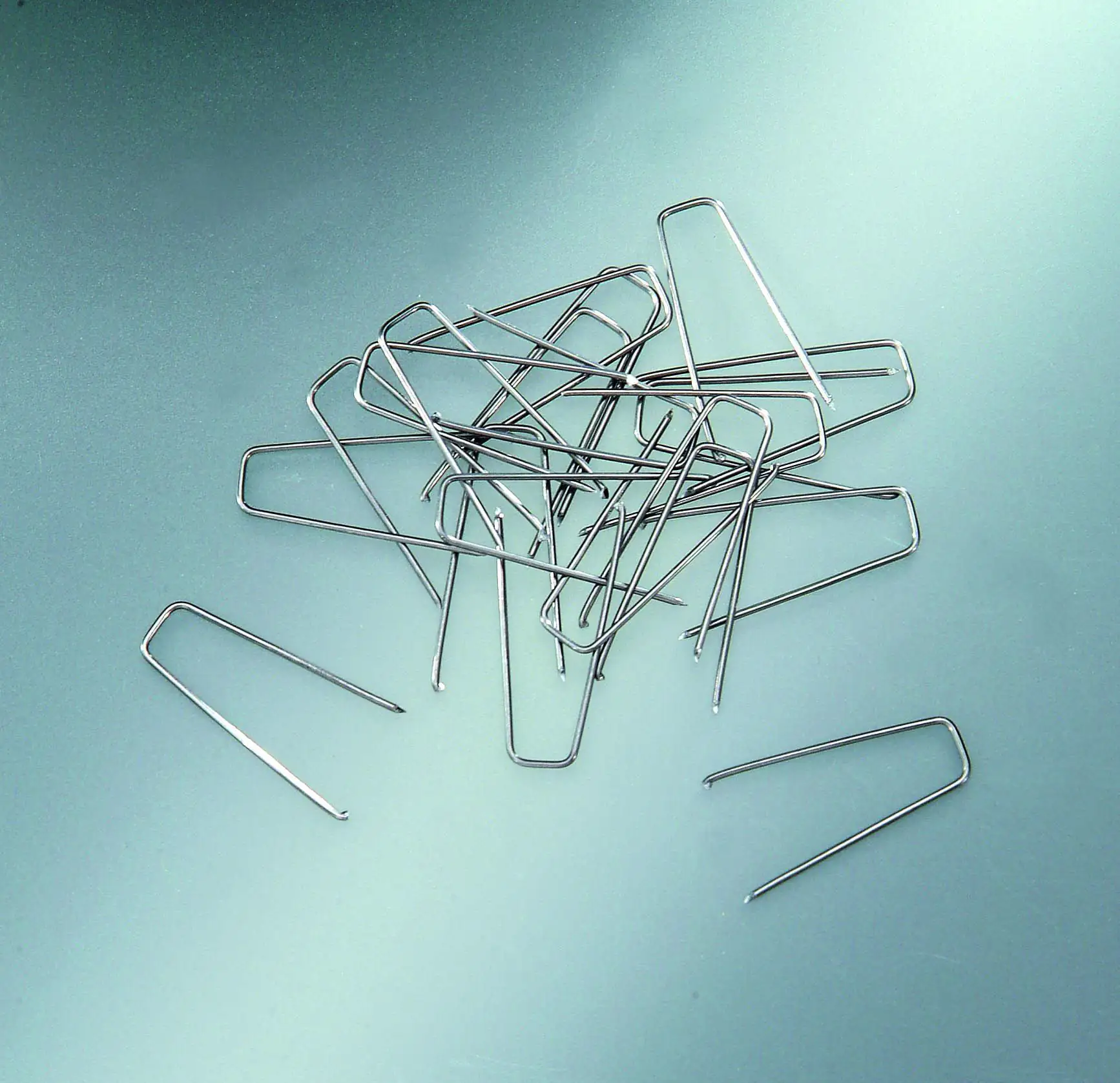 Glorex Strohblumennadeln 6 x 25 mm