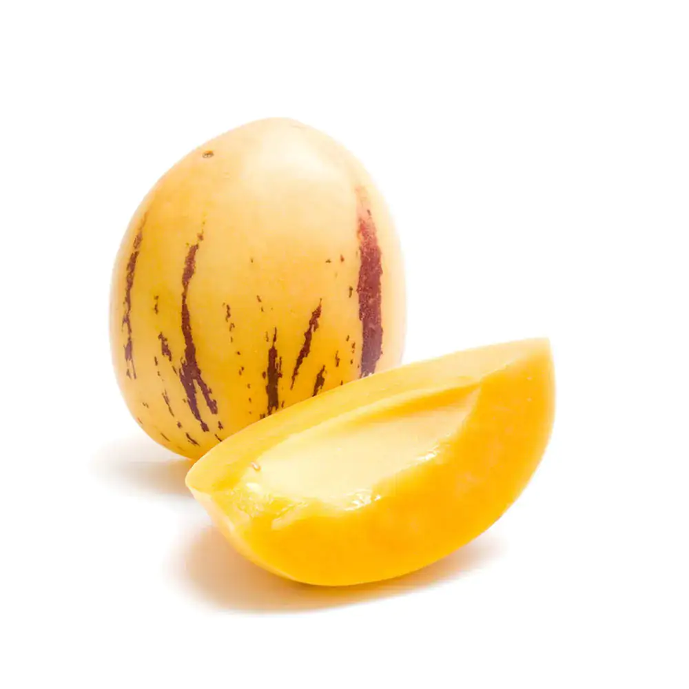 Solanum muricatum Melonenbirne Pepino 12 cm Topf Solanum muricatum Melonenbirne Pepino 12 cm Topf