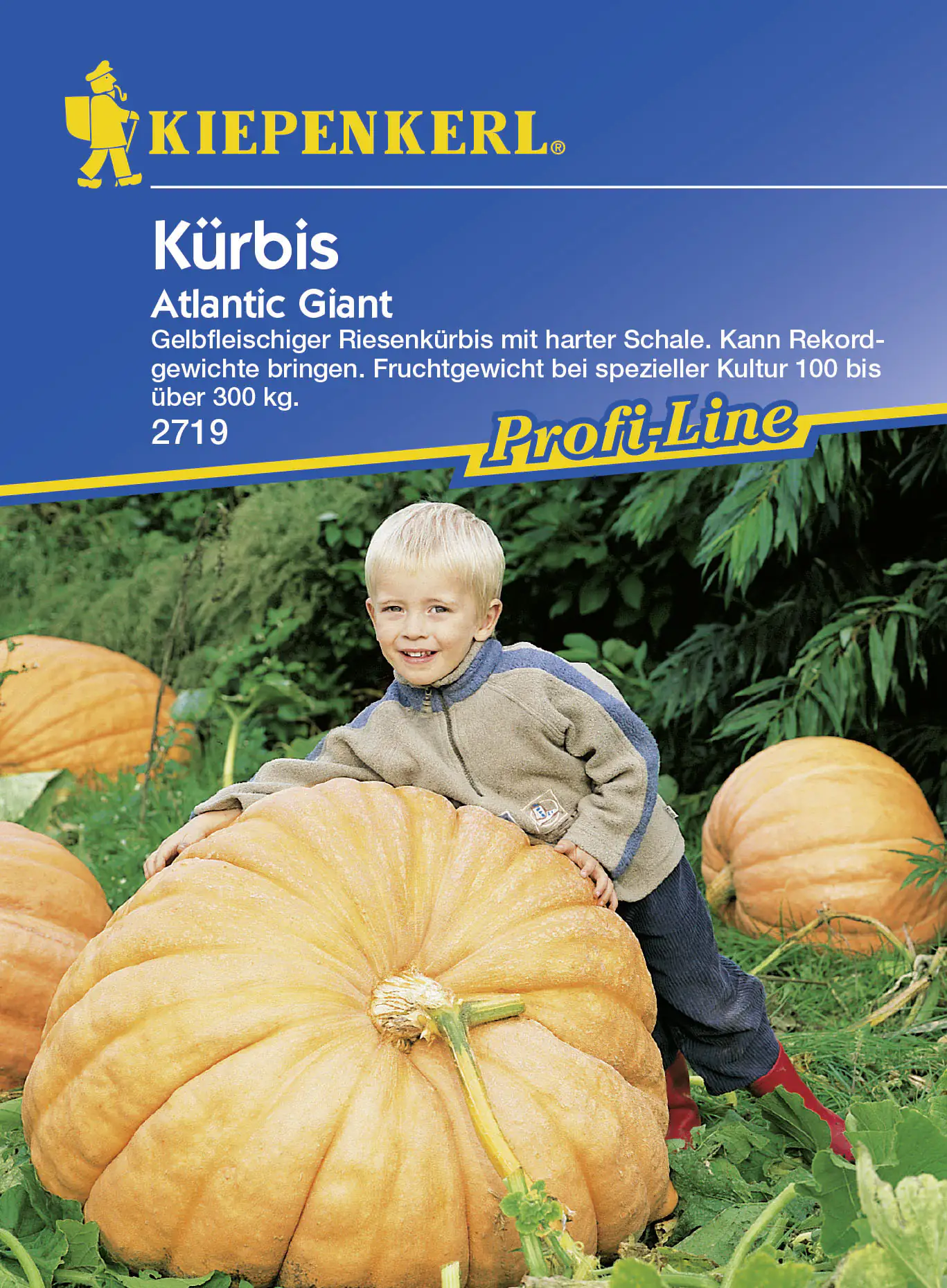 Kiepenkerl Kürbis Atlantic Giant Cucurbita maxima, Inhalt: ca. 5 Pflanzen Kiepenkerl Kürbis Atlantic Giant Cucurbita maxima, Inhalt: ca. 5 Pflanzen