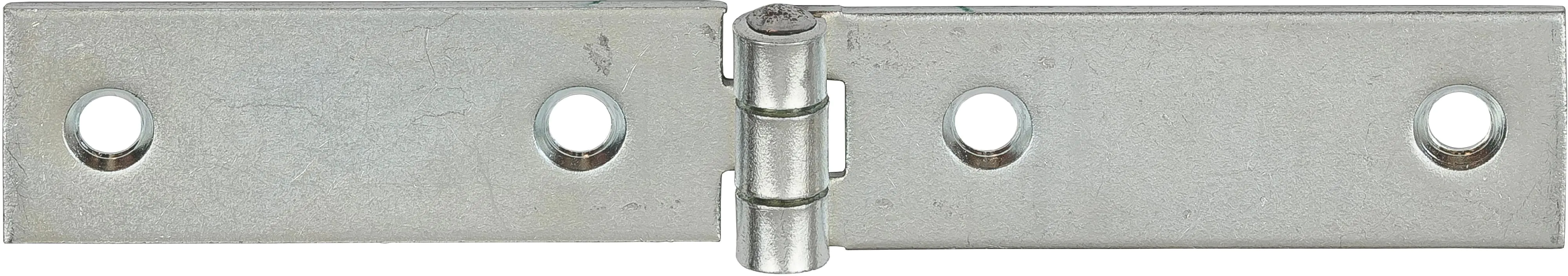 Vormann Schmale Tischbänder verzinkt 100 x 20 mm