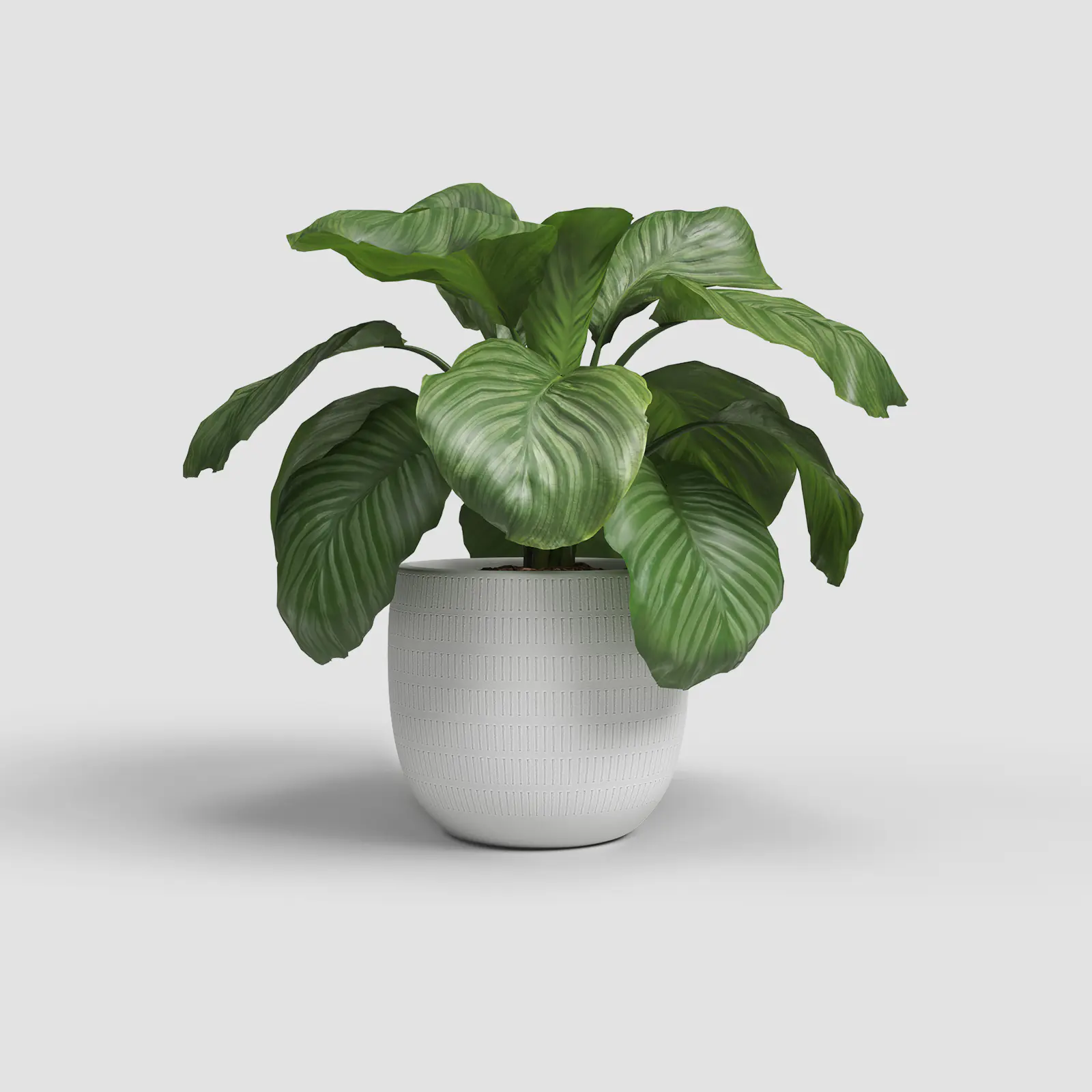 Artevasi Übertopf Aura Keramik Ø 20 x 18 cm weiß