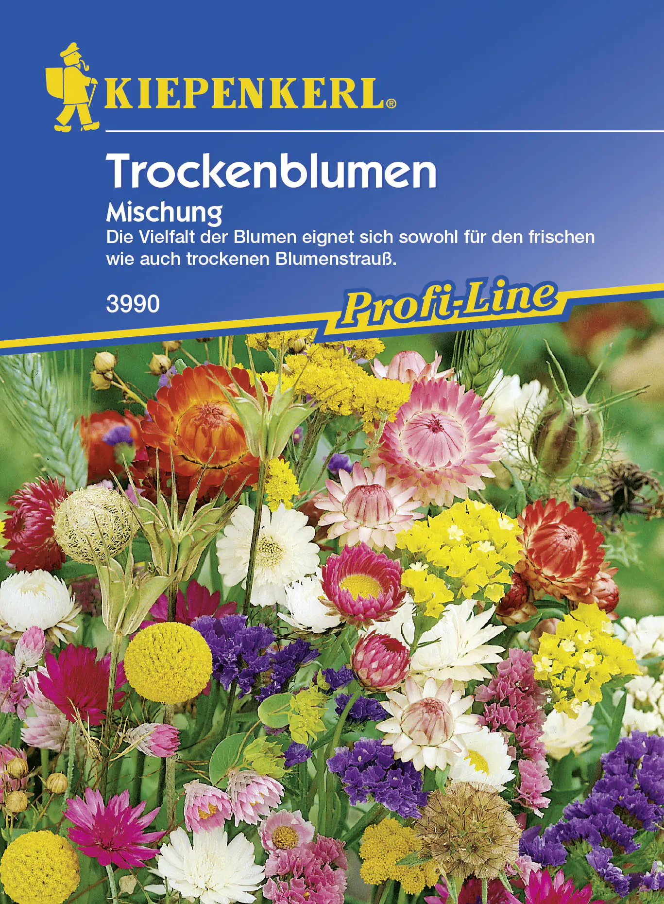 Kiepenkerl Saatgut Trockenblumen ca. 80 Pflanzen kaufen Globus Baumarkt