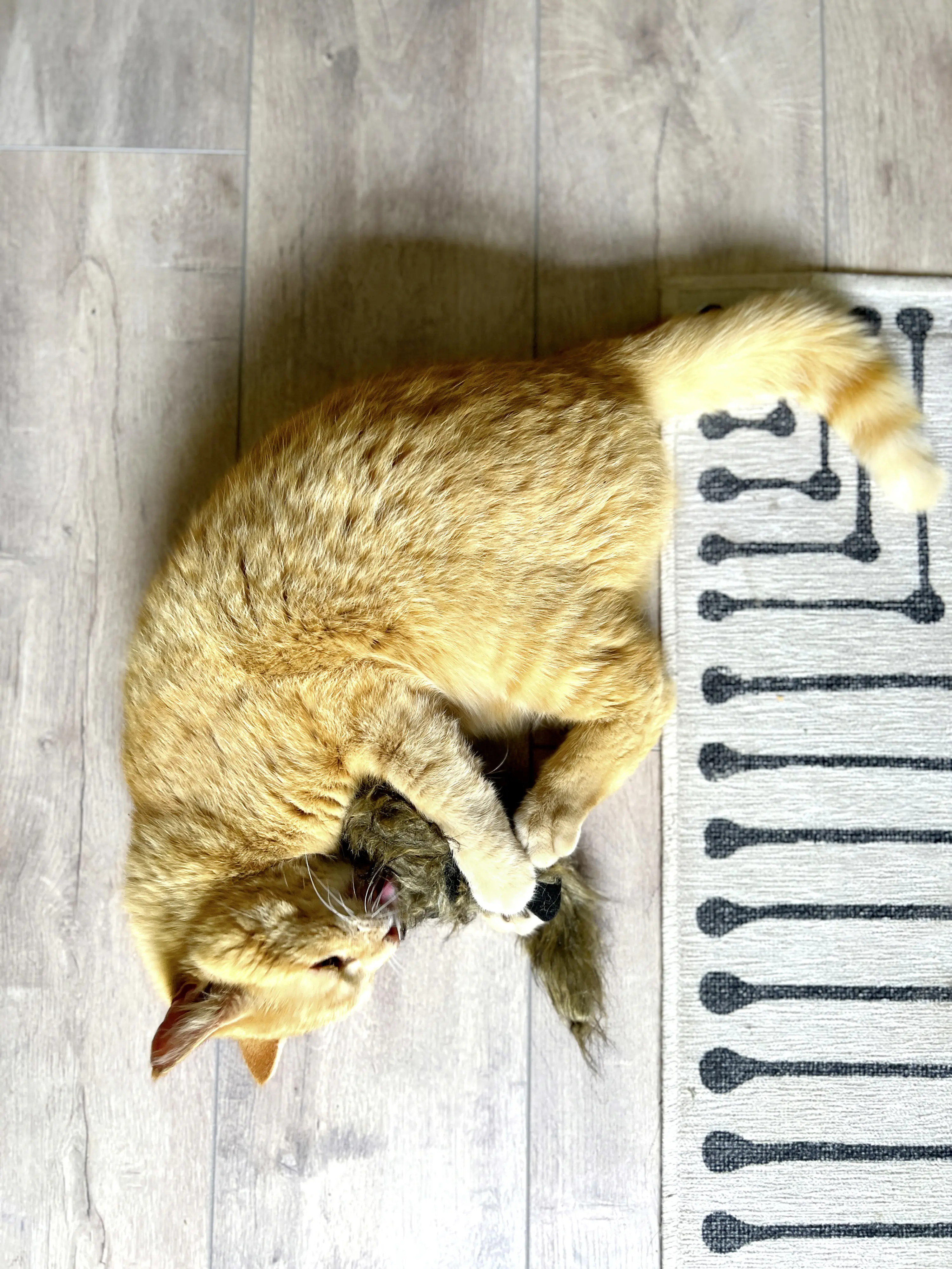 Aumüller Katzenspielzeug Frettchen grau mit Füllung 42 x 10 x 3 cm