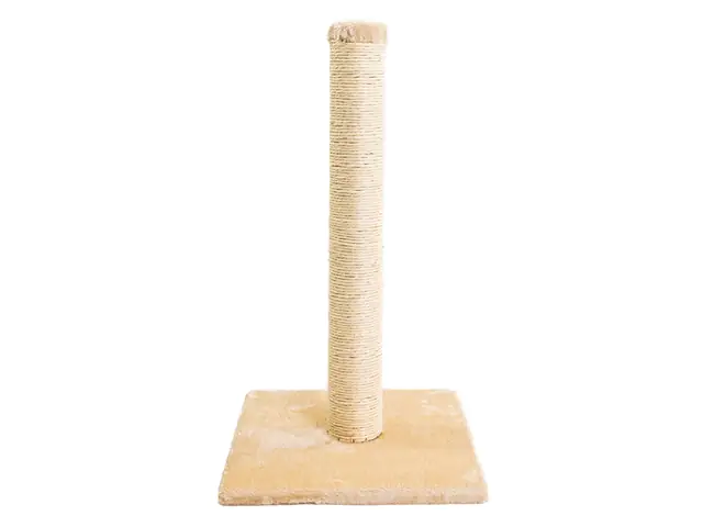 4333692026291 TrendLine Kratzbaum Bambino H 65 cm beige