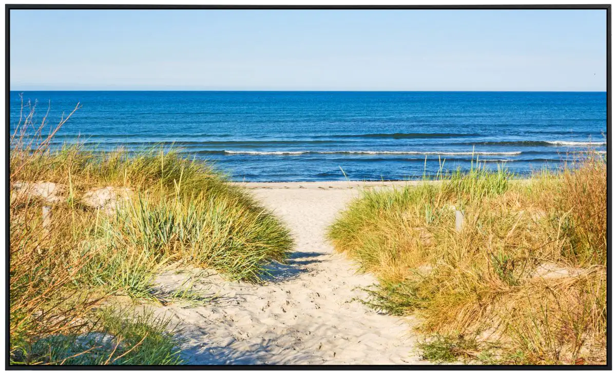 papermoon Infrarotheizkörper EcoHeat 60x120 cm 1200 Watt, Dünen Strandweg