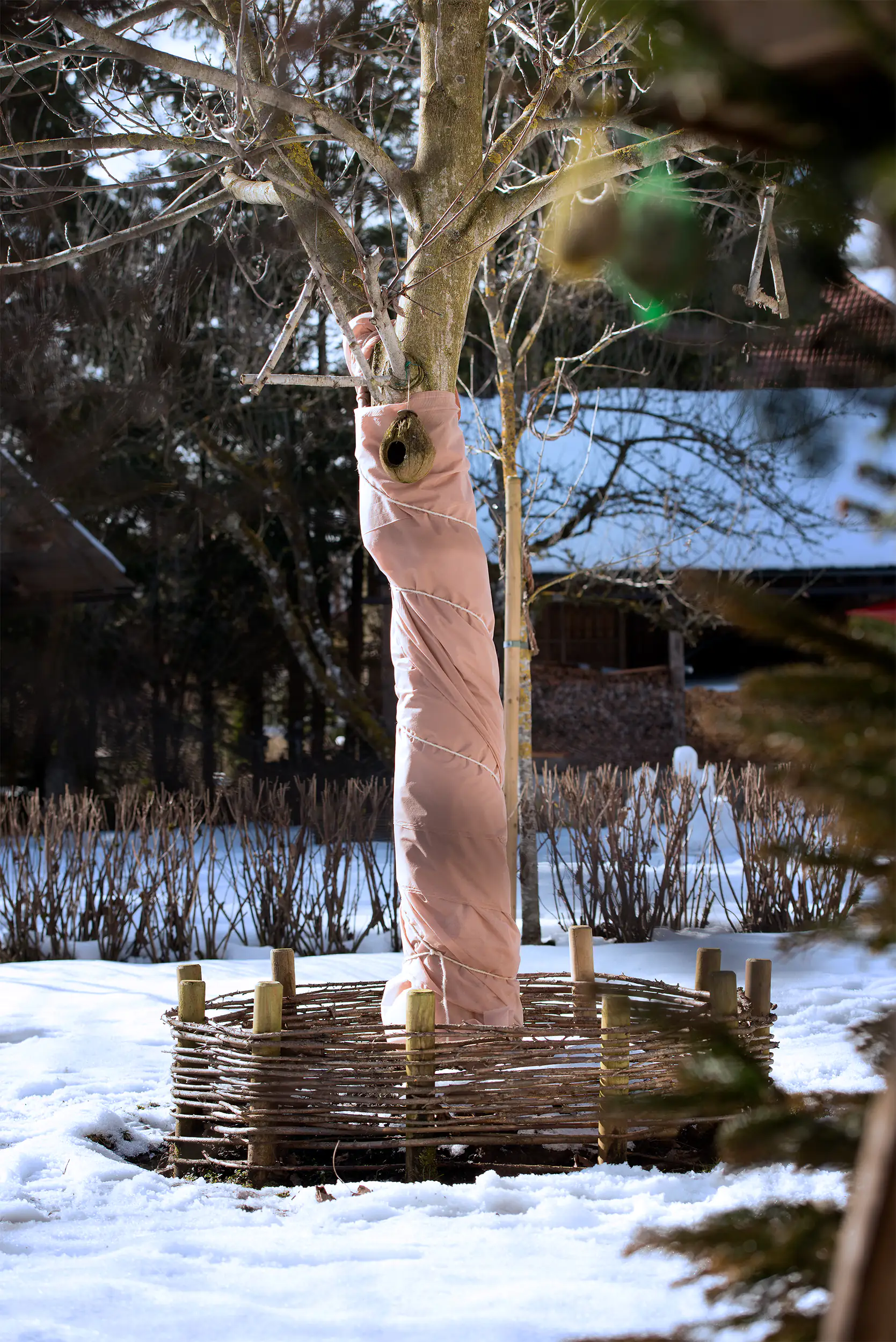 Windhager Winter-Vlies Protect 5 x 2 m,