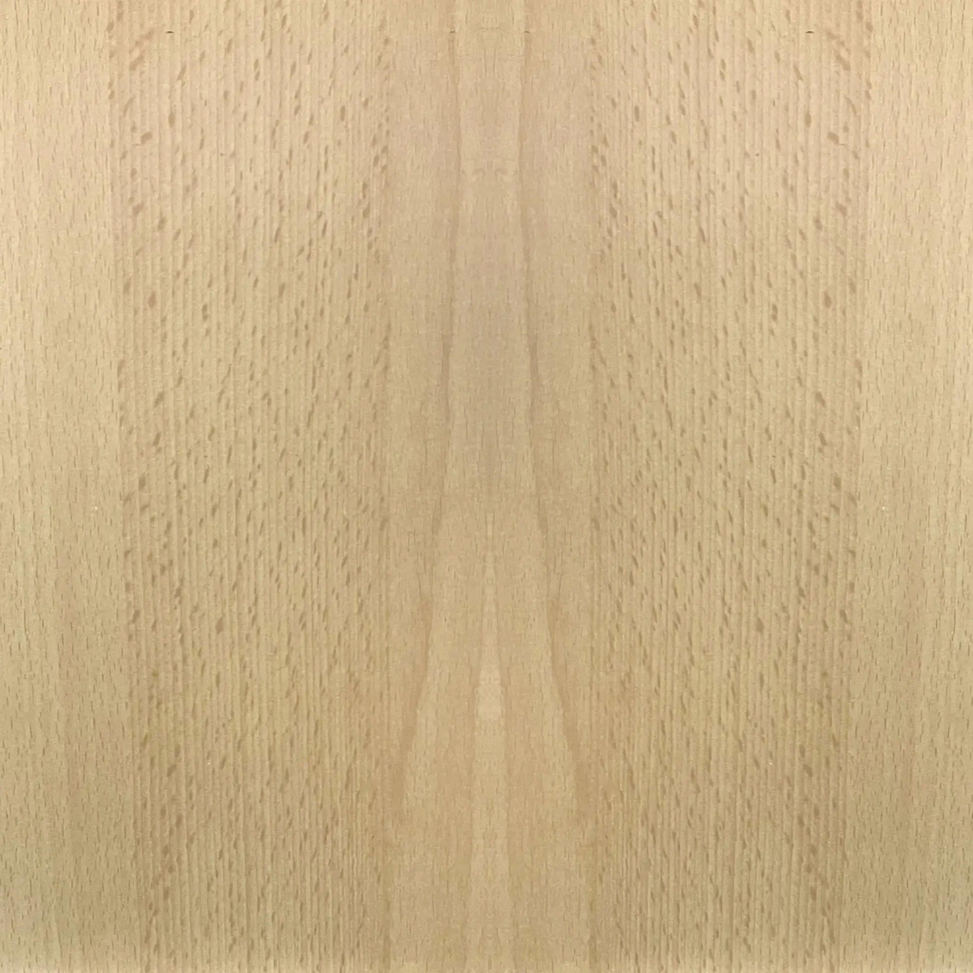 FN Neuhofer Flachleiste 210 cm 55 x 20 mm Buche