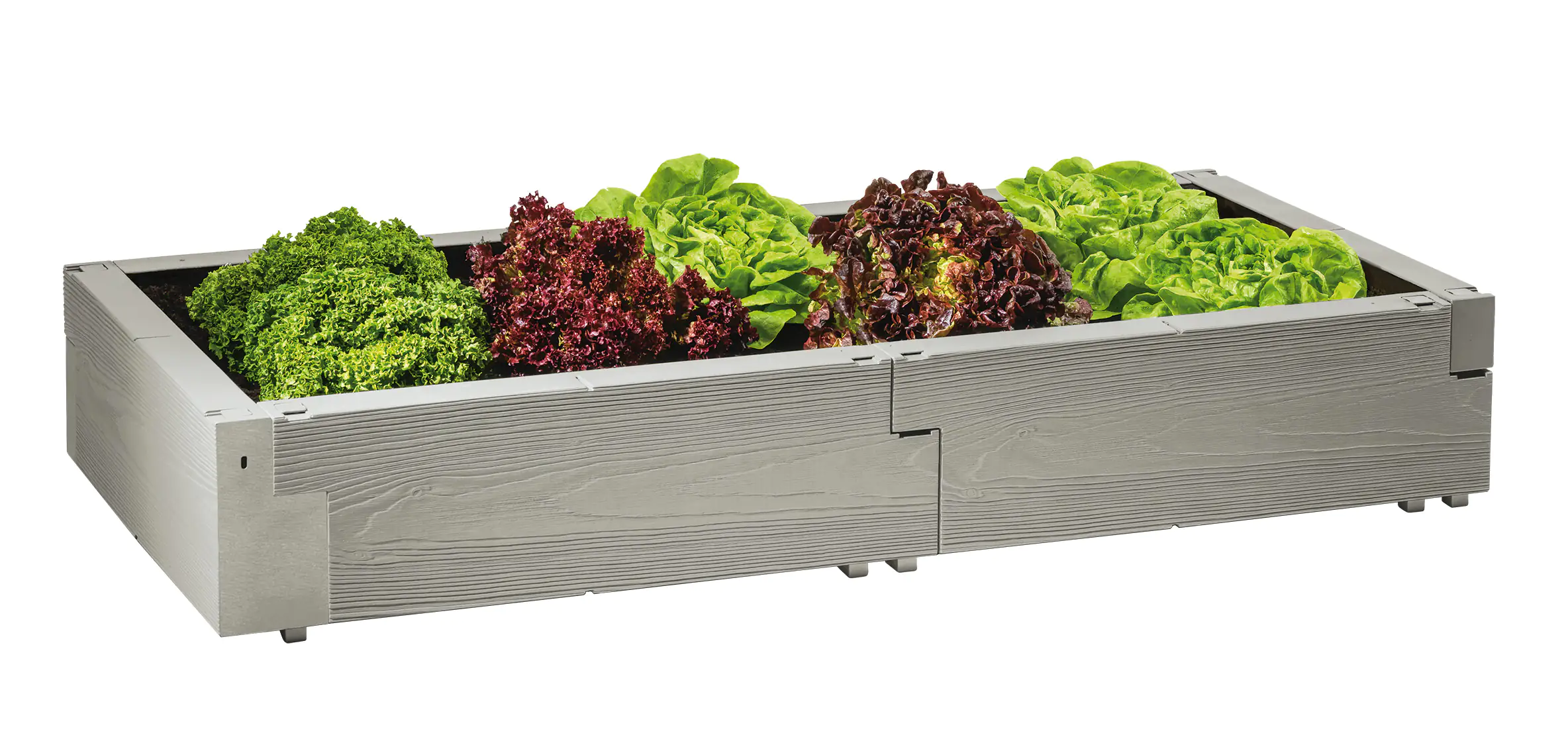 Juwel Hochbeet Timber AufbauSet 130 x 60 x 20 cm kaufen Globus Baumarkt