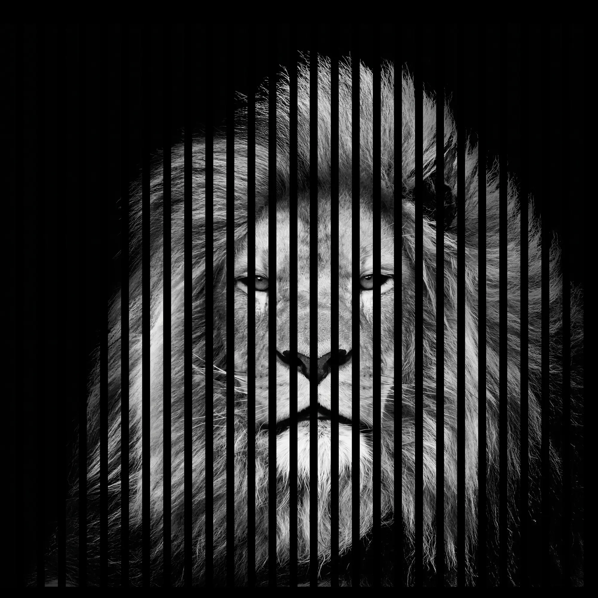 Neuhofer Akustikpaneele Löwe 119,5 x 113,3 x 1,9 cm