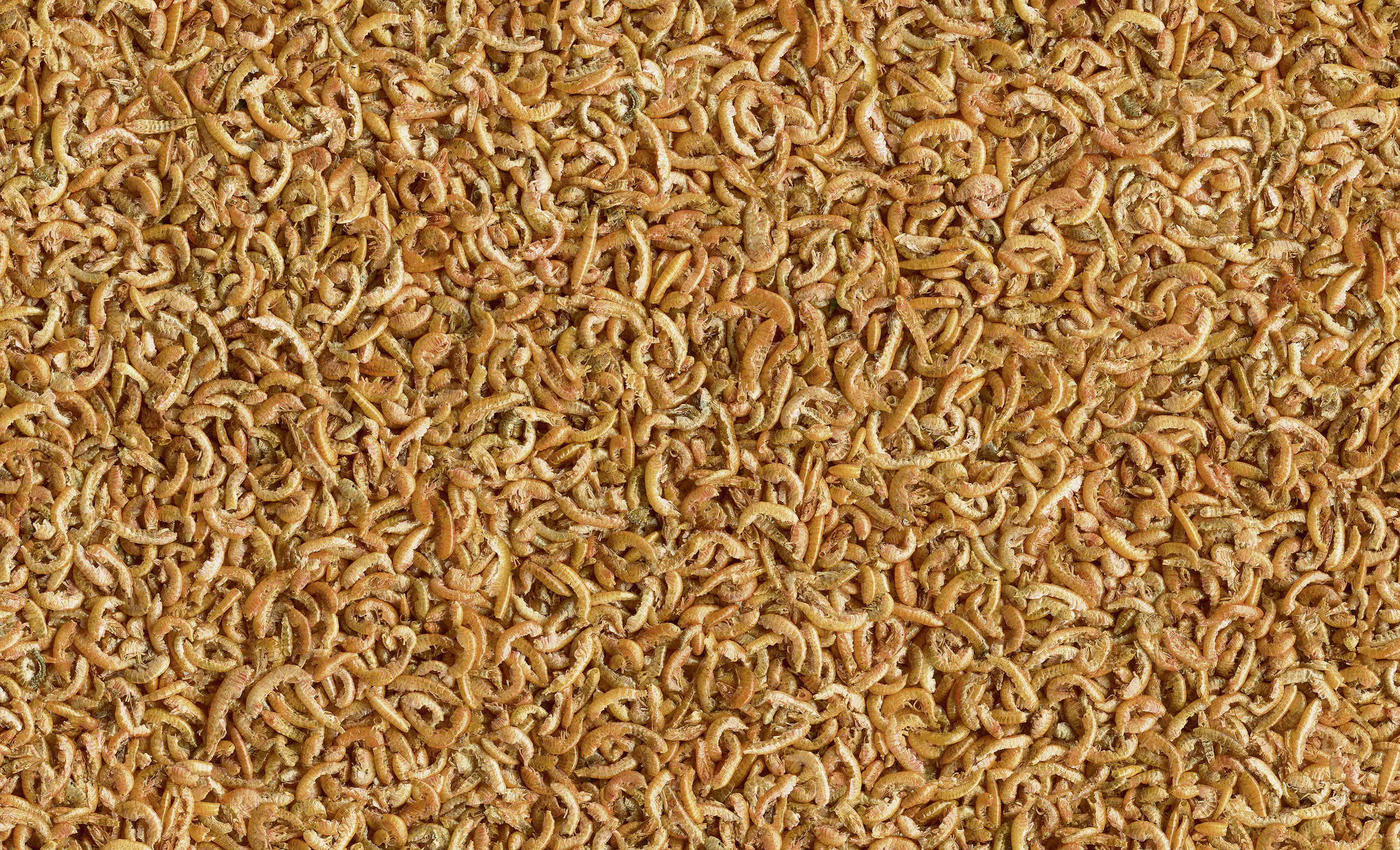 Tetra Gammarus 250 ml