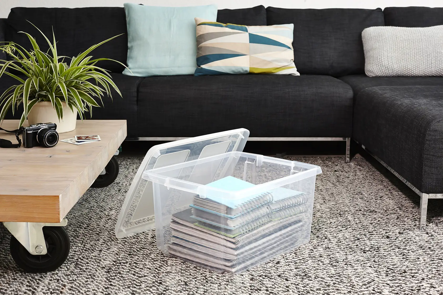 Sunware Aufbewahrungsbox Nesta 32 L transparent