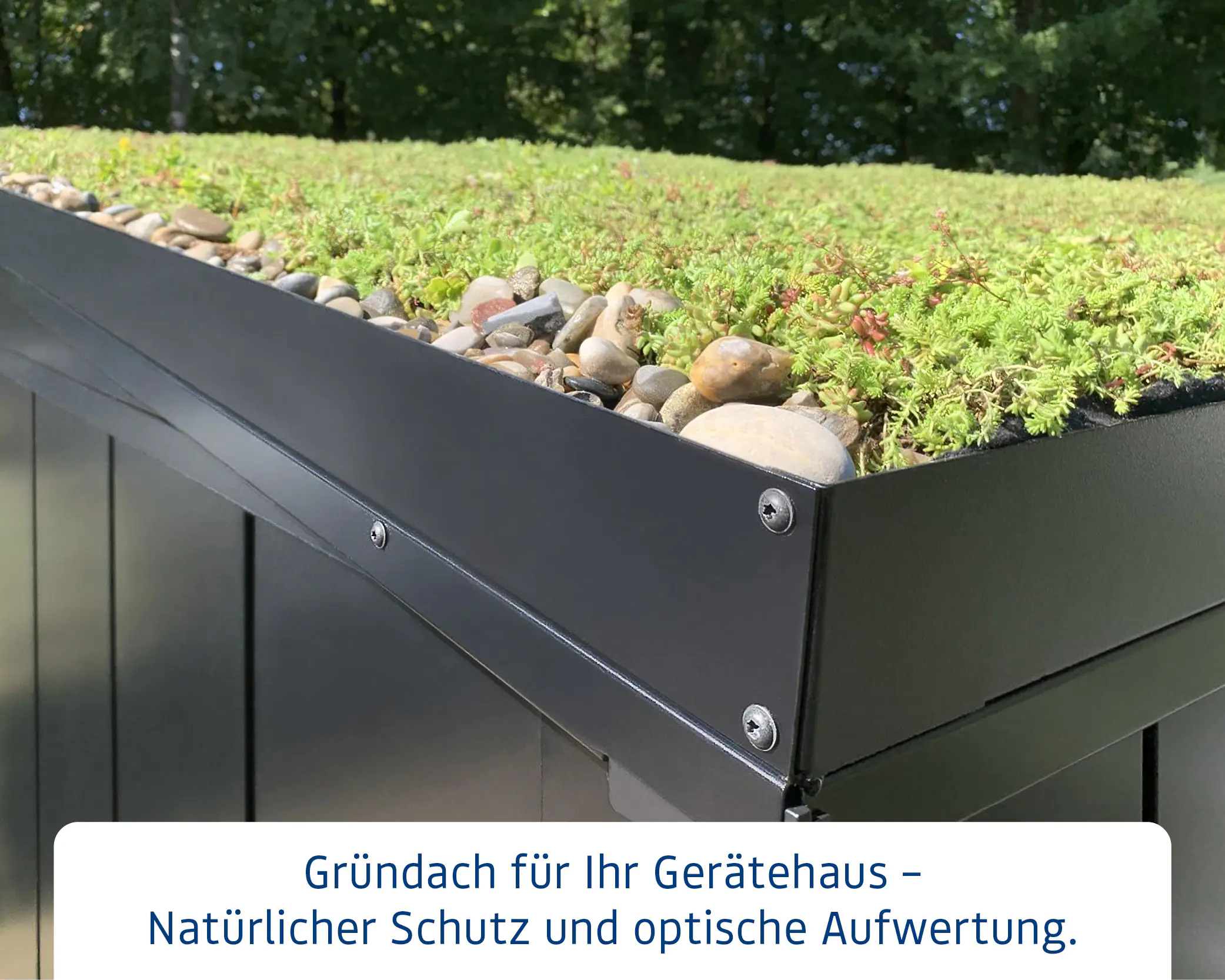 EcoStar Dachrahmen für Gründach Pultdach Typ 1 grau EcoStar Dachrahmen für Gründach Pultdach Typ 1 grau