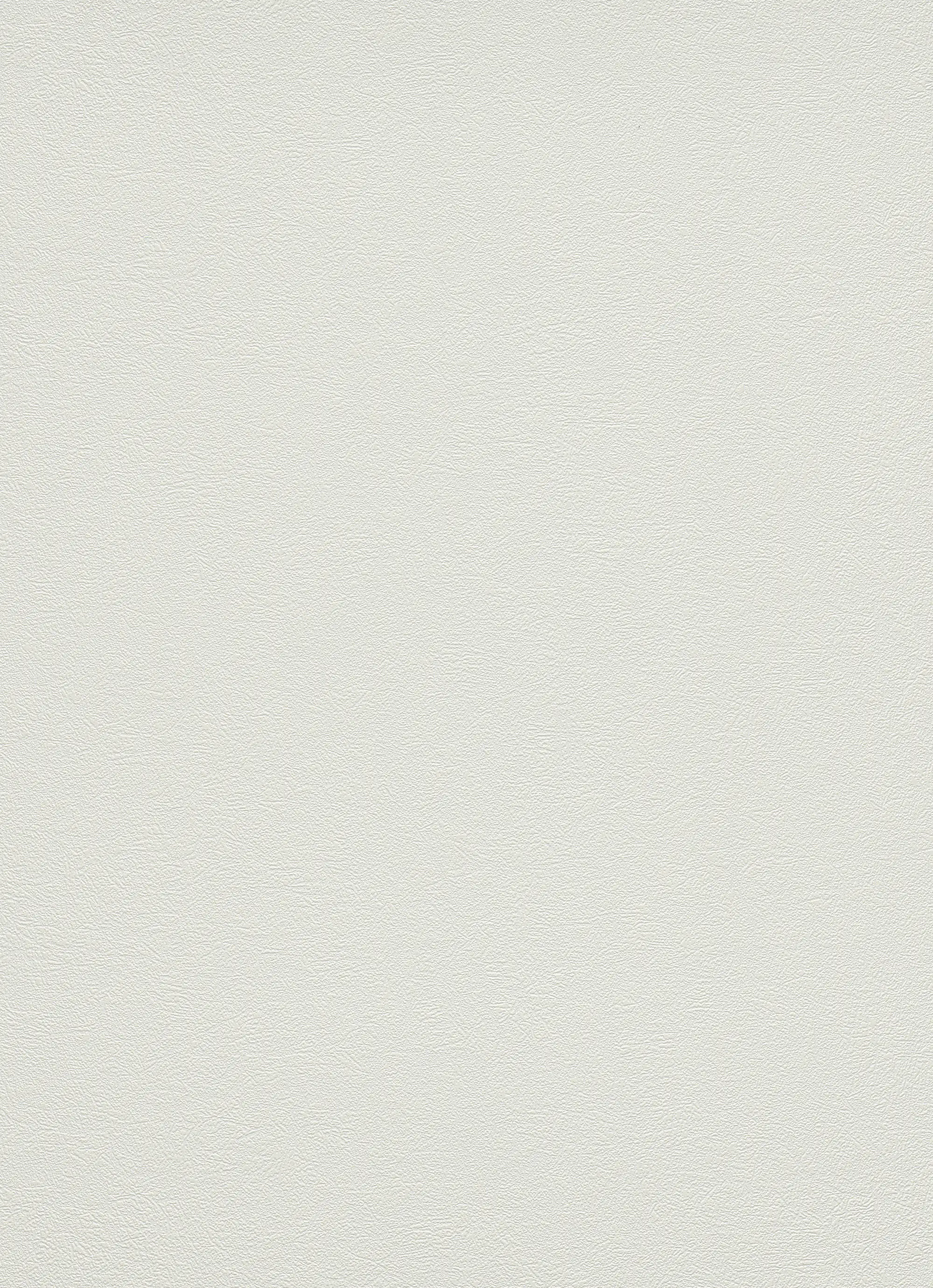 4002790156123_3 Erismann Vinyltapete 9733-01 Flitter weiss 10,05 x 0,53 m