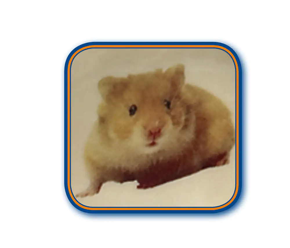 Nobby Keramikschale Hamster blau Ø 7,5 cm