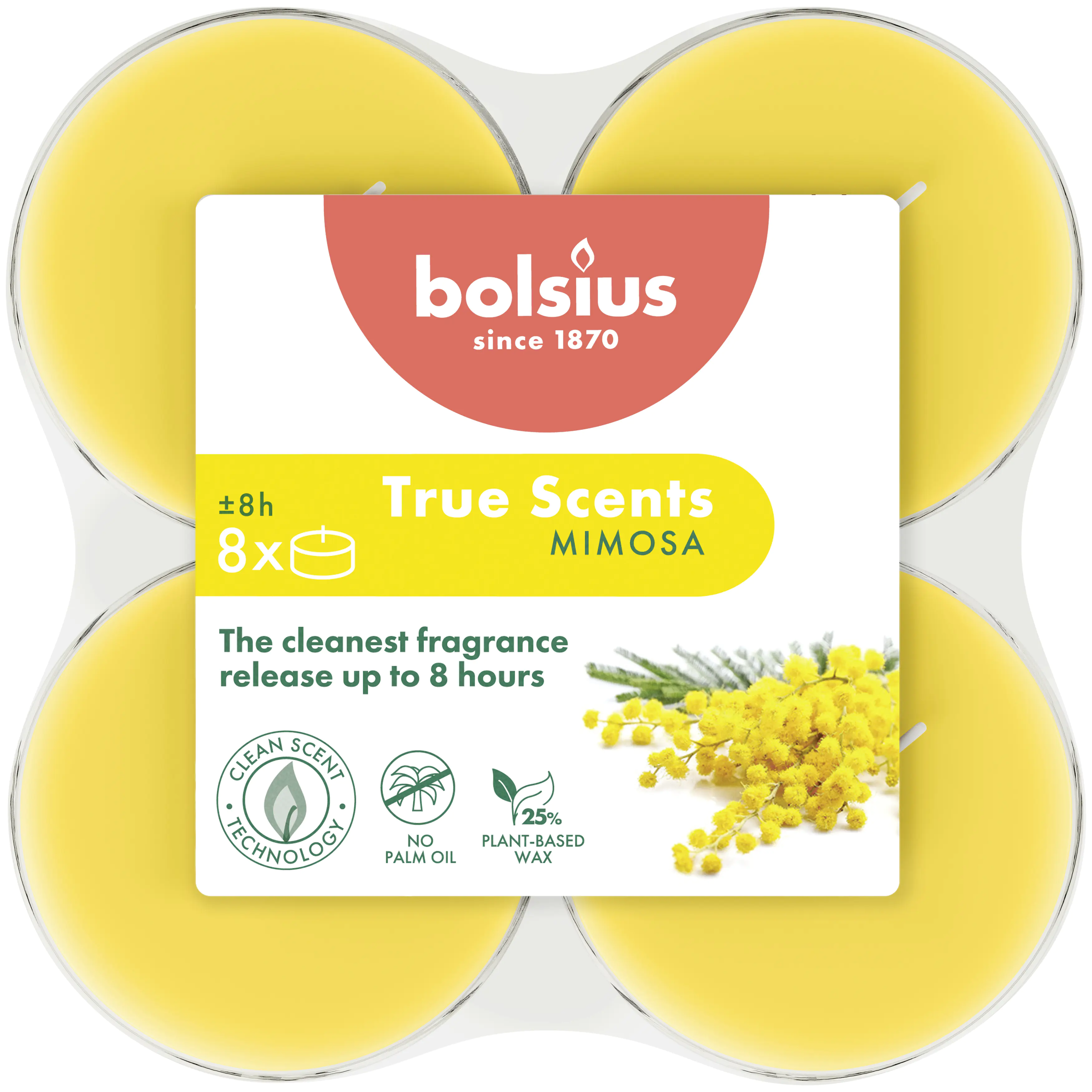 Bolsius Duft-Teelichte Maxi 8 Stunden 8er Pack True Scents Mimose