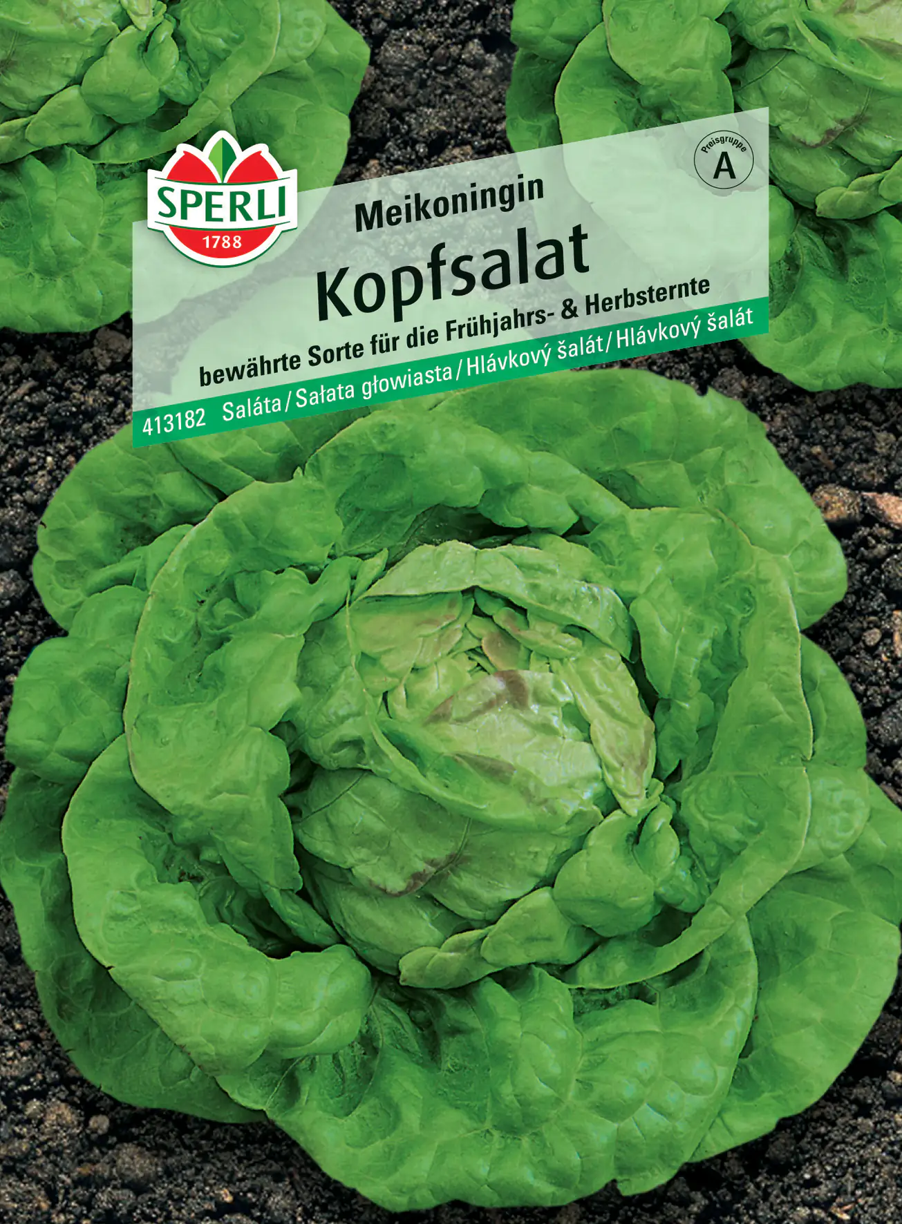 Sperli Kopfsalat Maikönigin Sperli Kopfsalat Maikönigin