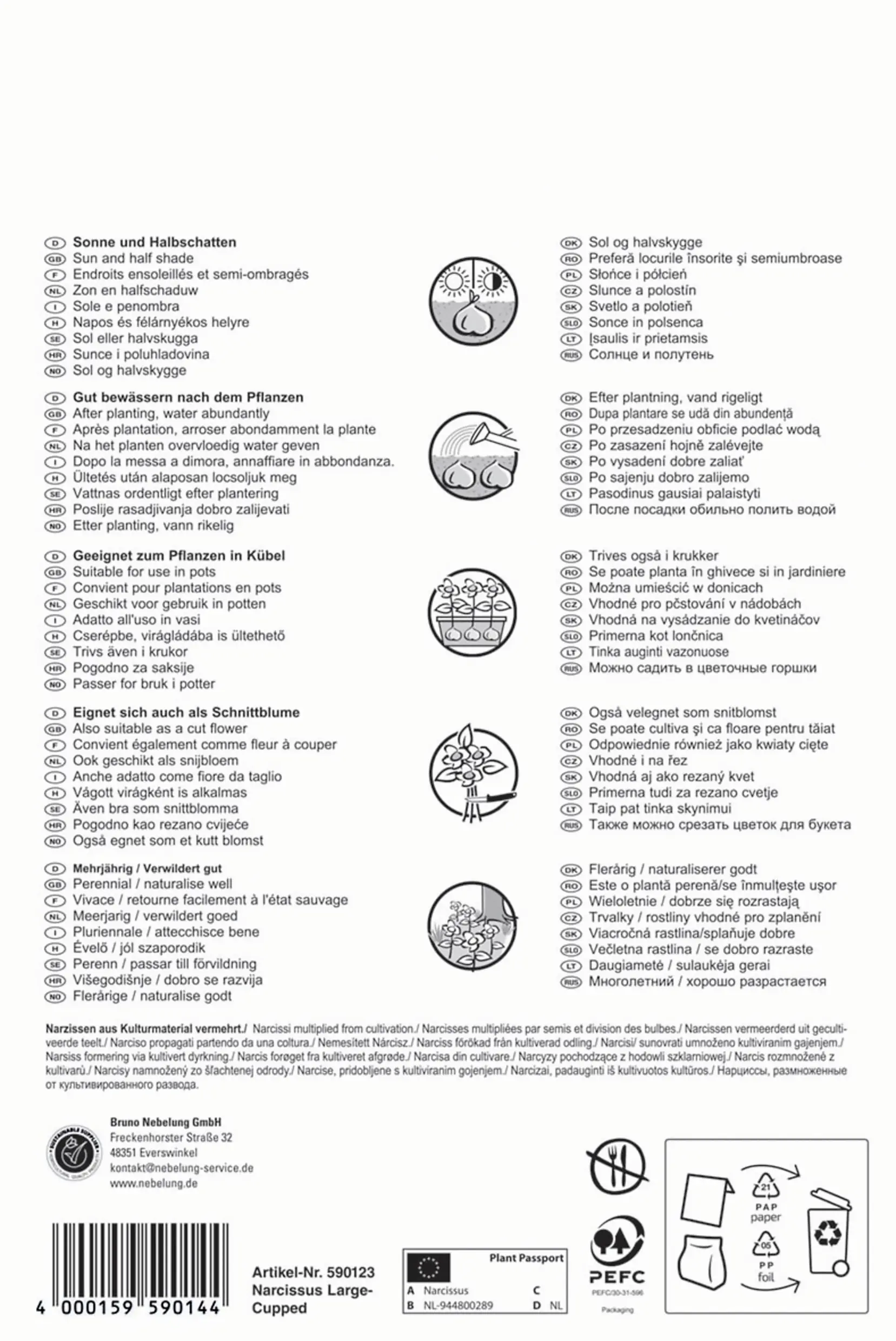 Pegasus Narzisse California gelb 30 Stück