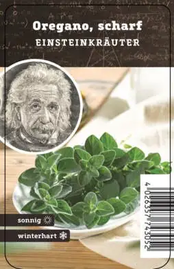 Einsteinkräuter - Oregano scharf 12 cm Topf
