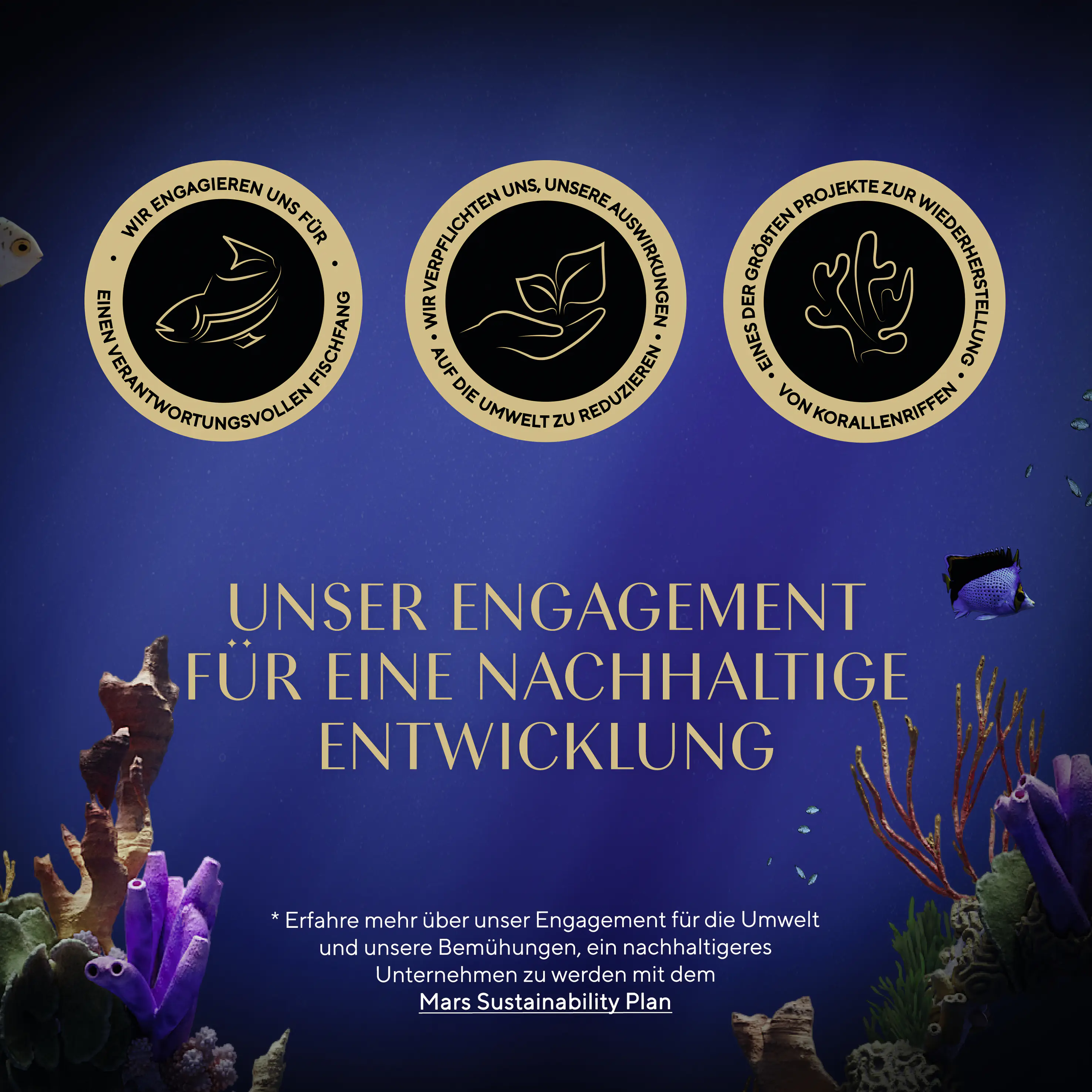 Sheba Sauce Collection Katzennassfutter Adult MSC 12 x 85 g Fisch Variationen Sheba Sauce Collection Katzennassfutter Adult MSC 12 x 85 g Fisch Variationen
