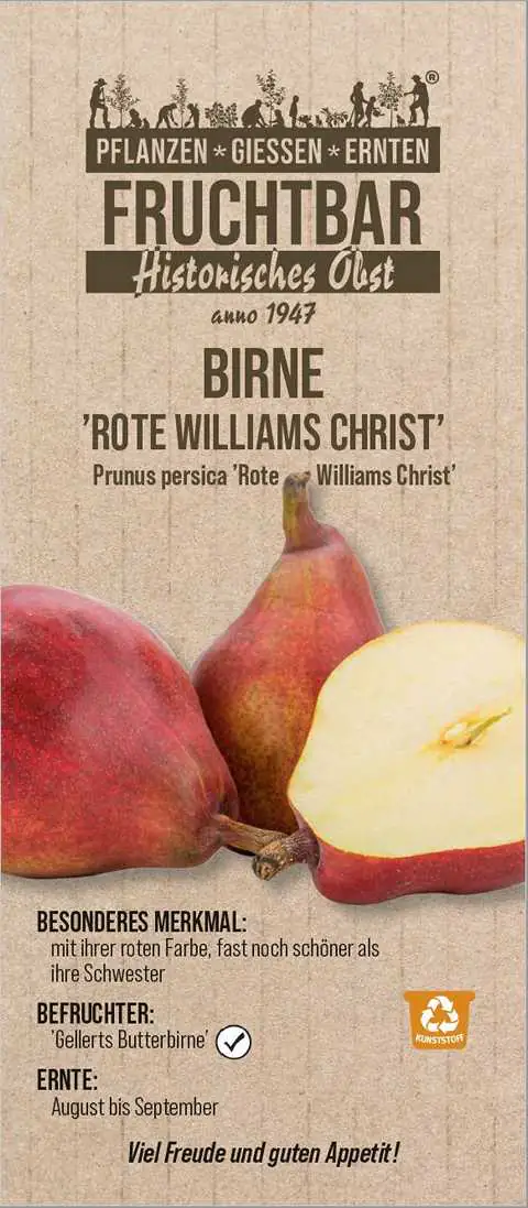 Stadt Ernte Bio Obstbaum Birne rote Williams Christ H  150 cm 29 cm Topf