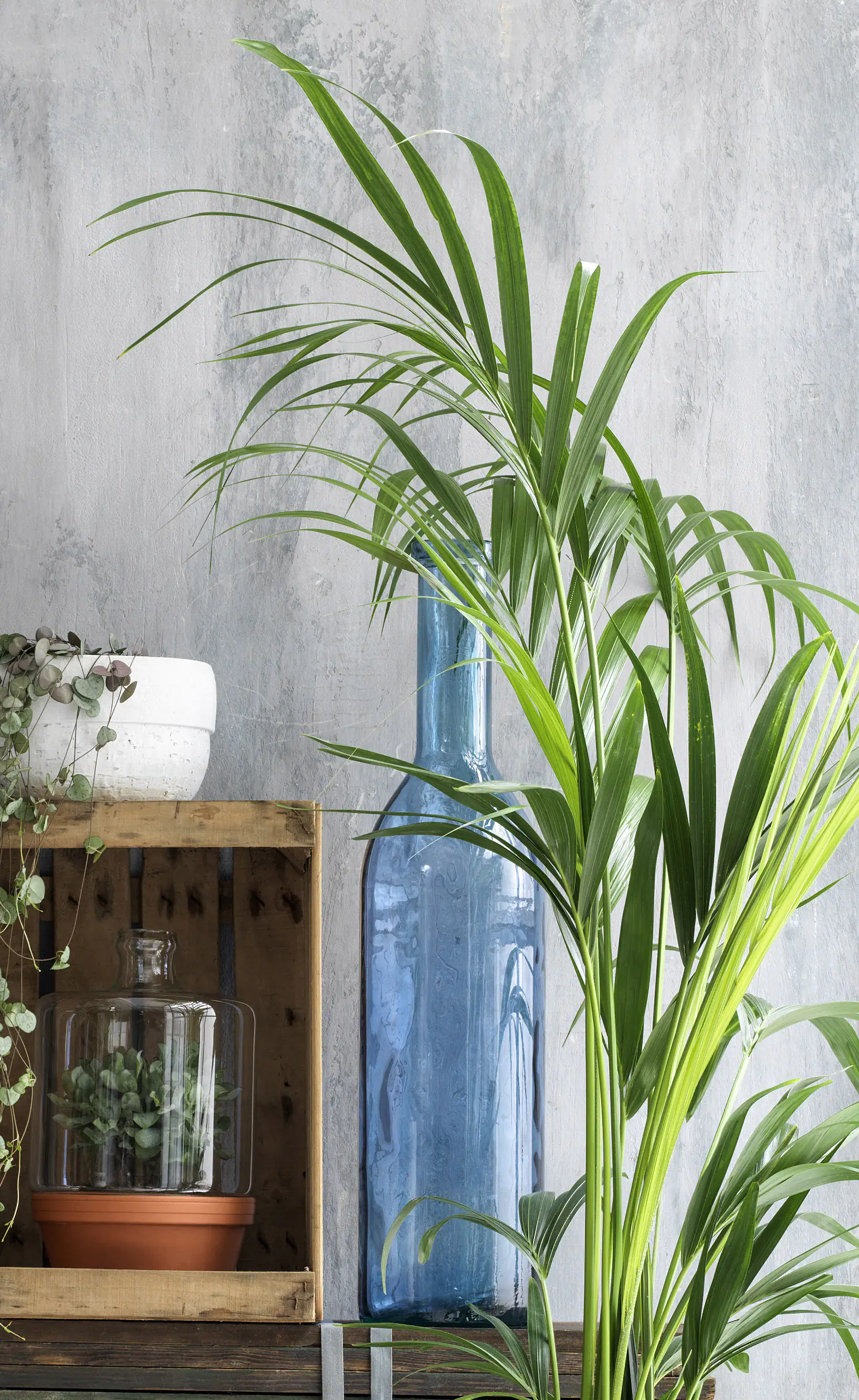 Mica Flasche Rioja Glas hellblau 50 x Ø 15 cm