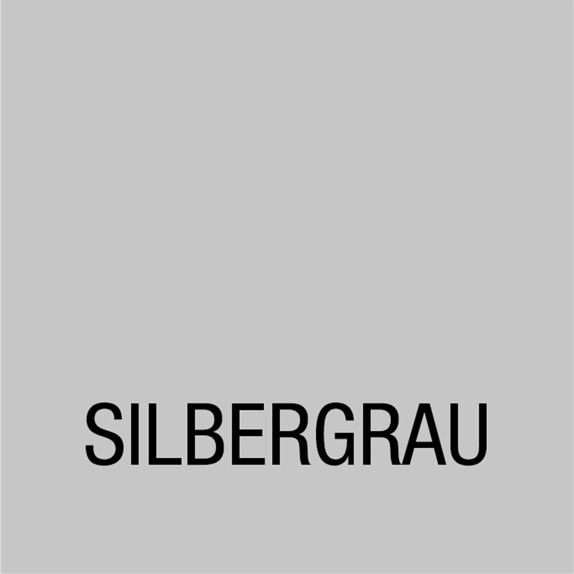 Bondex Dauerschutz-Holzfarbe 750 ml silbergrau