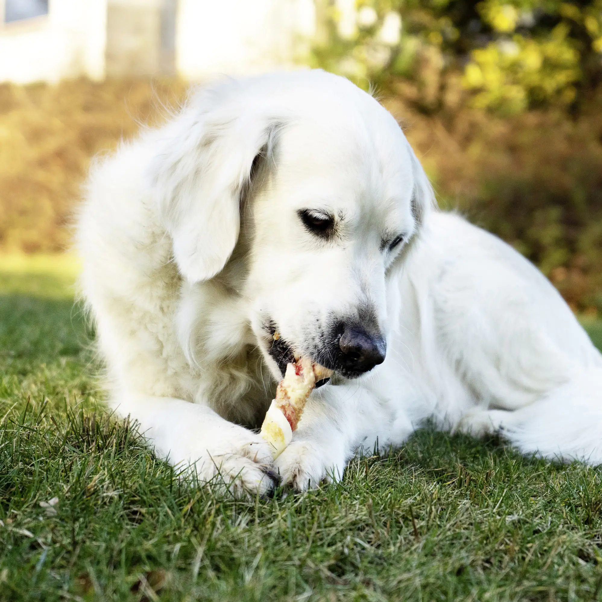 8in1 Flavours Kaustange Triple Flavour Rolls 113 g