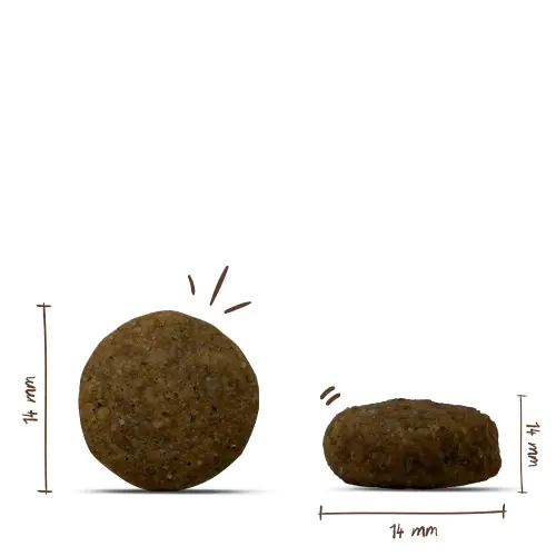Bosch Trockenfutter für Hunde Junior 1 kg mit Lamm & Reis Bosch Trockenfutter für Hunde Junior 1 kg mit Lamm & Reis