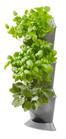 Gardena Nature Up! Basis Set Ecke 17 x 17 x 54 cm anthrazit Gardena Nature Up! Basis Set Ecke 17 x 17 x 54 cm anthrazit