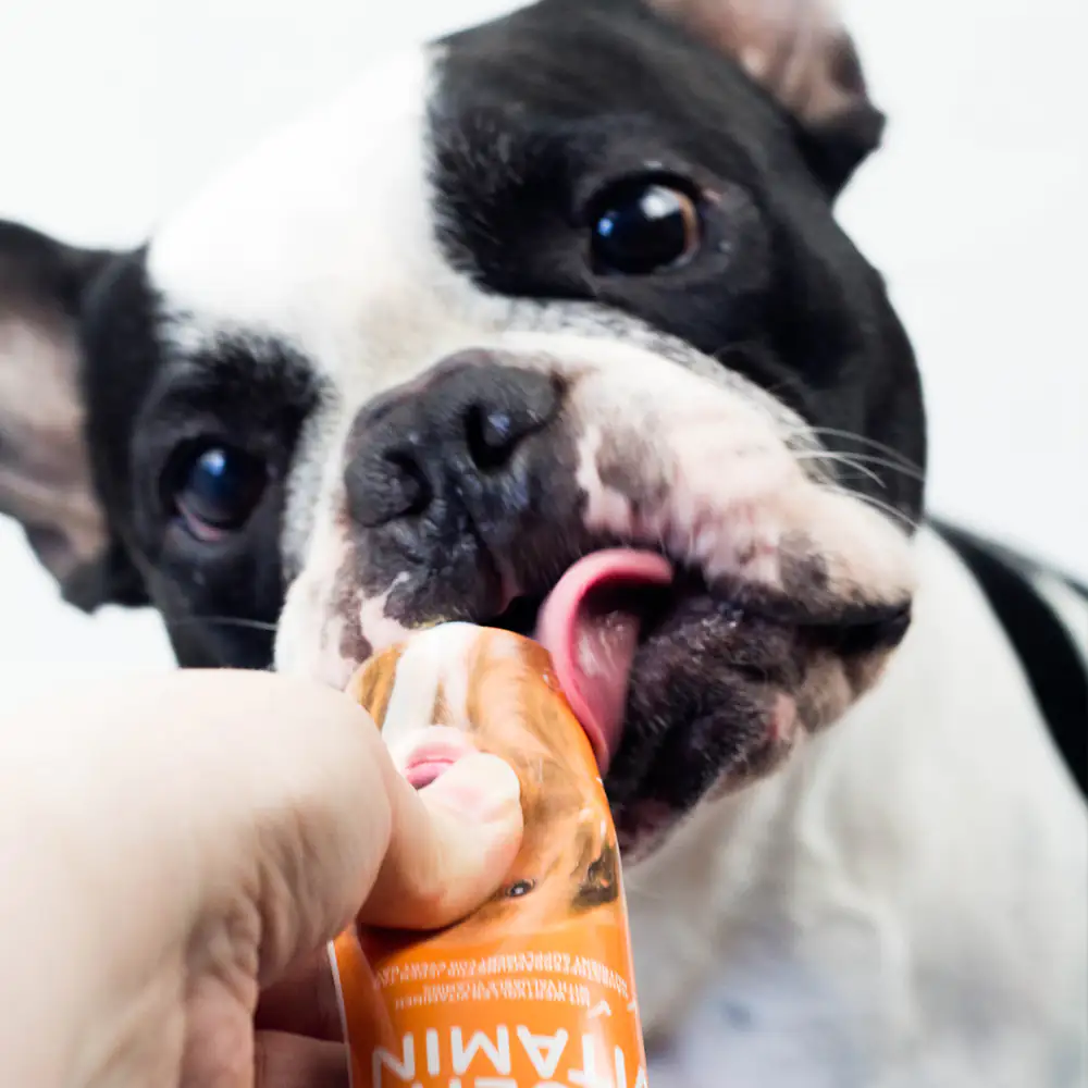 Nobby Multi-Vitamin für Hunde 100 g
