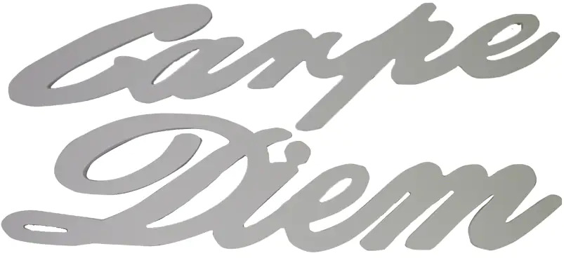 Schriftzug XL Carpe Diem silber 76 x 29 cm