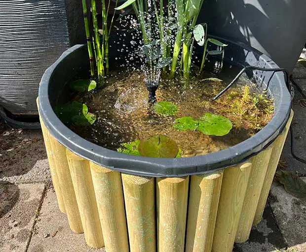 Miniteich für den Balkon