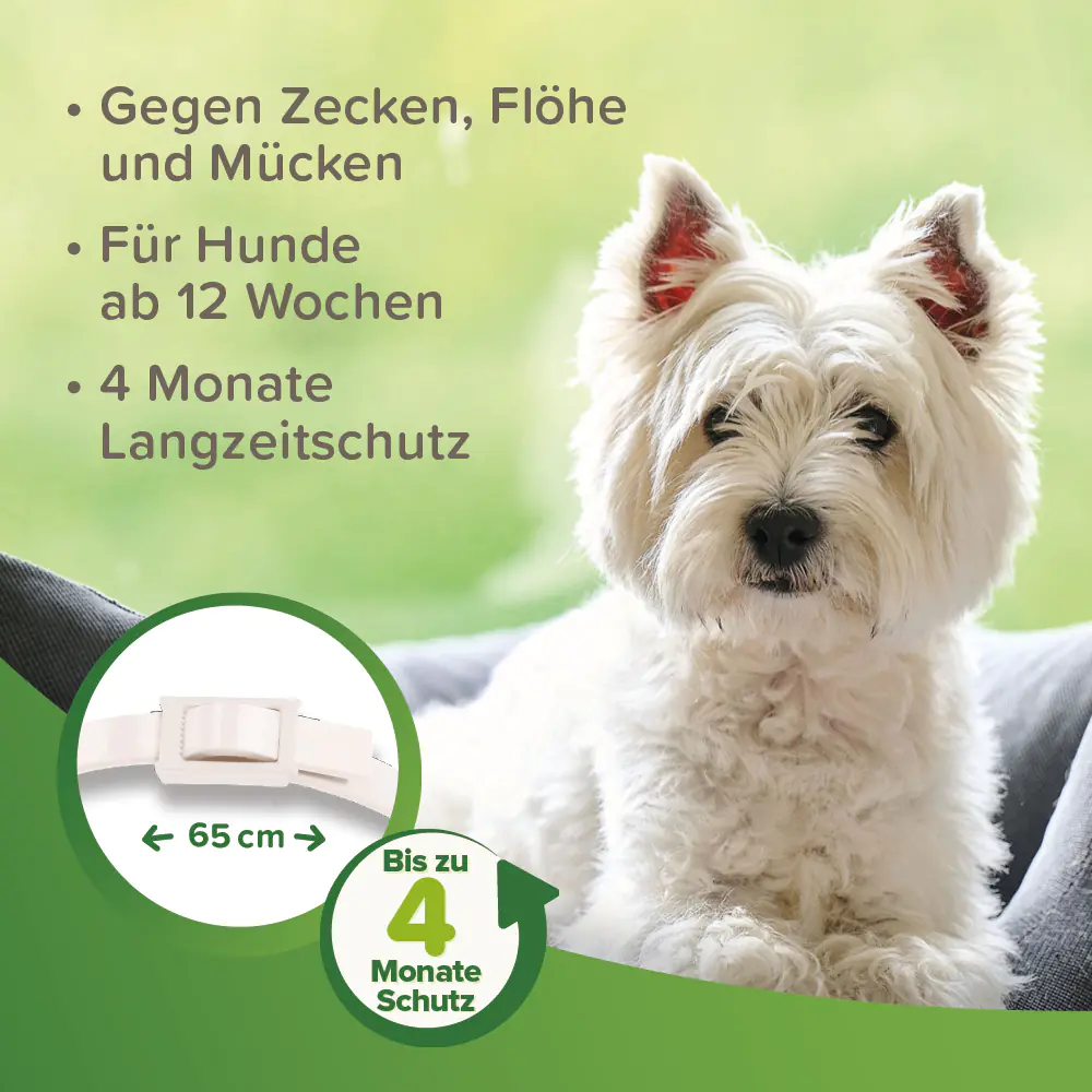 Beaphar Zecken- und Flohschutz Hundehalsband weiß 65 cm