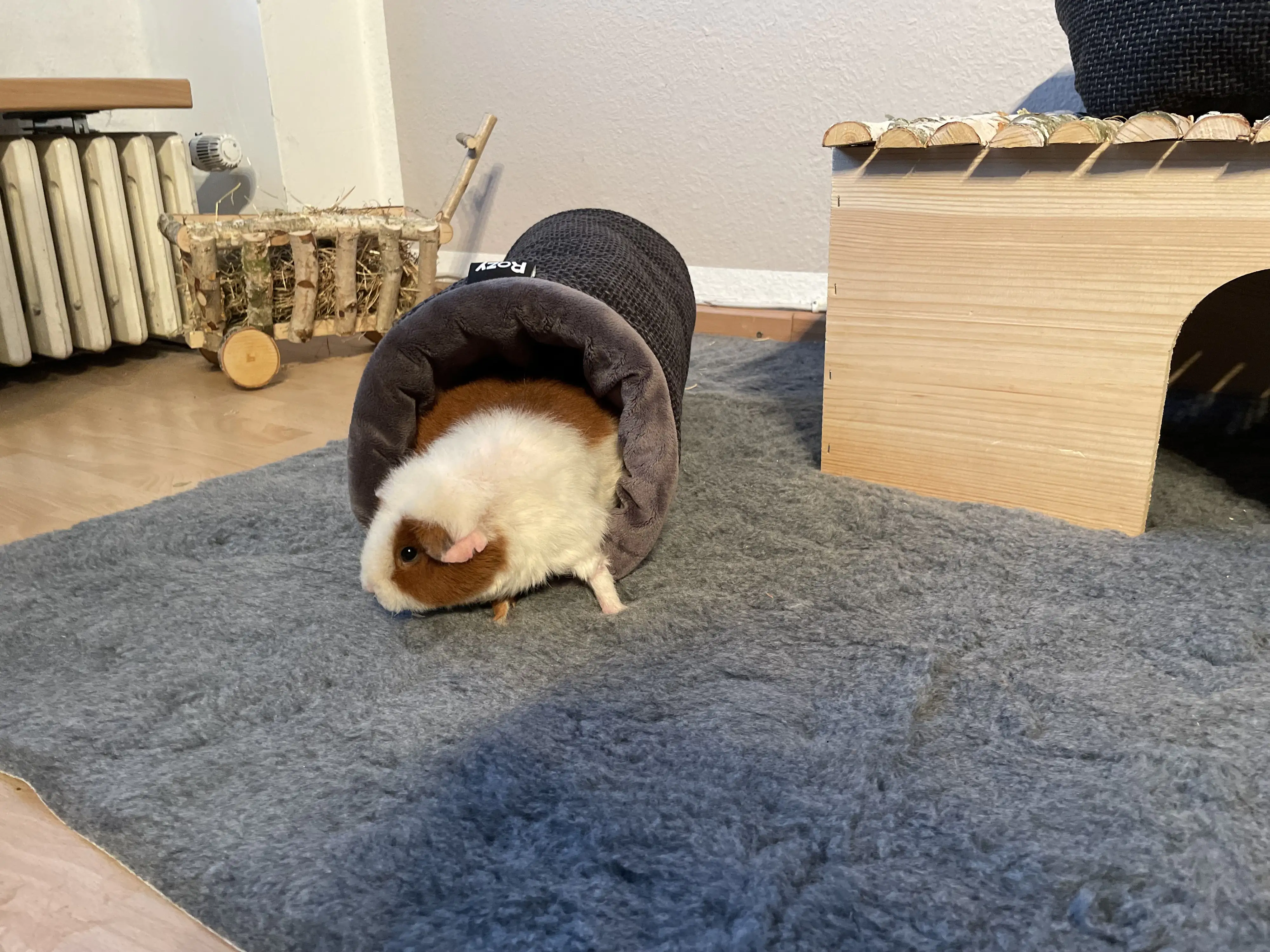 Ollesch Tunnel Stella 50 x 20 cm grau