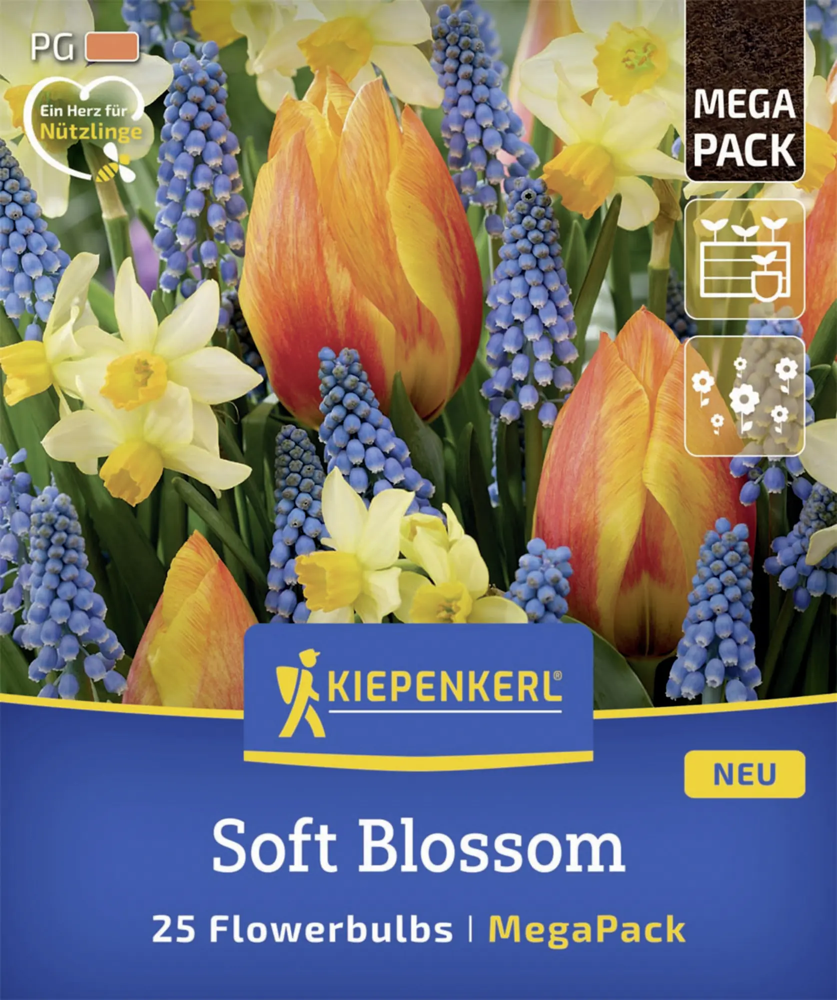 Kiepenkerl Herbstblumenzwiebelmischung Mega-Pack Soft Blossom 25 Stück