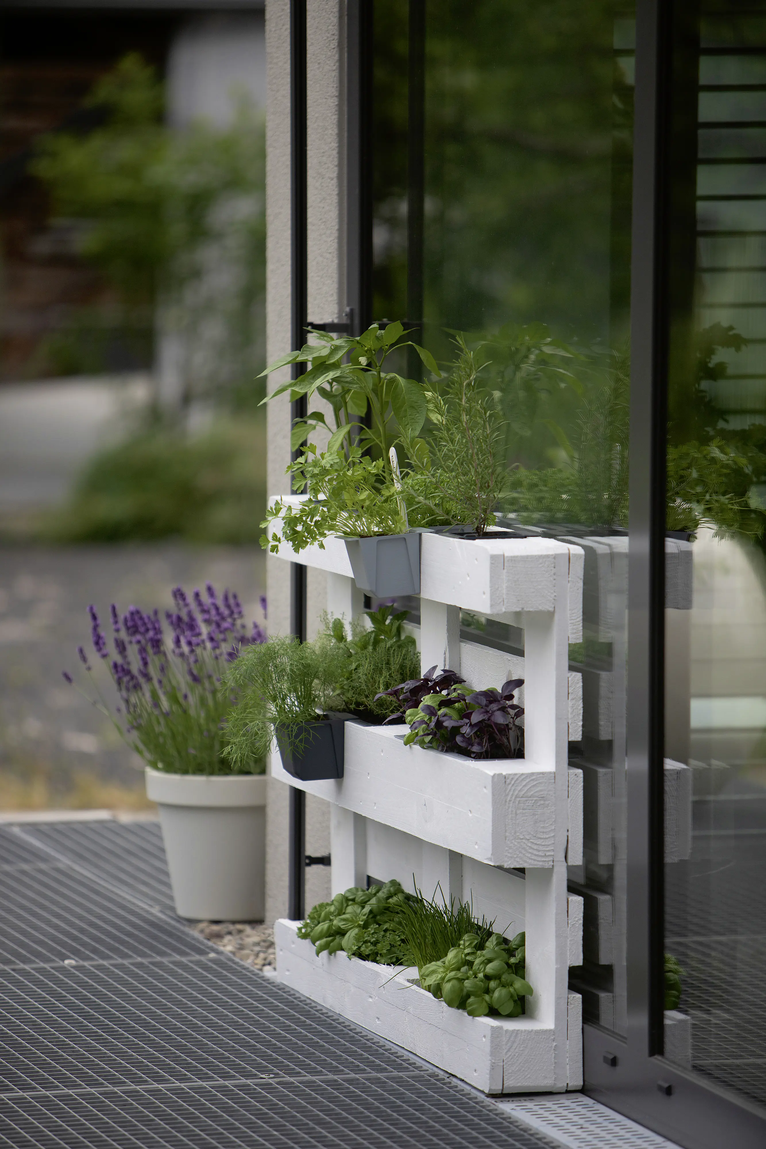 Geli Pflanztopf Easy 10 x 10 cm betonfarben für Europalette