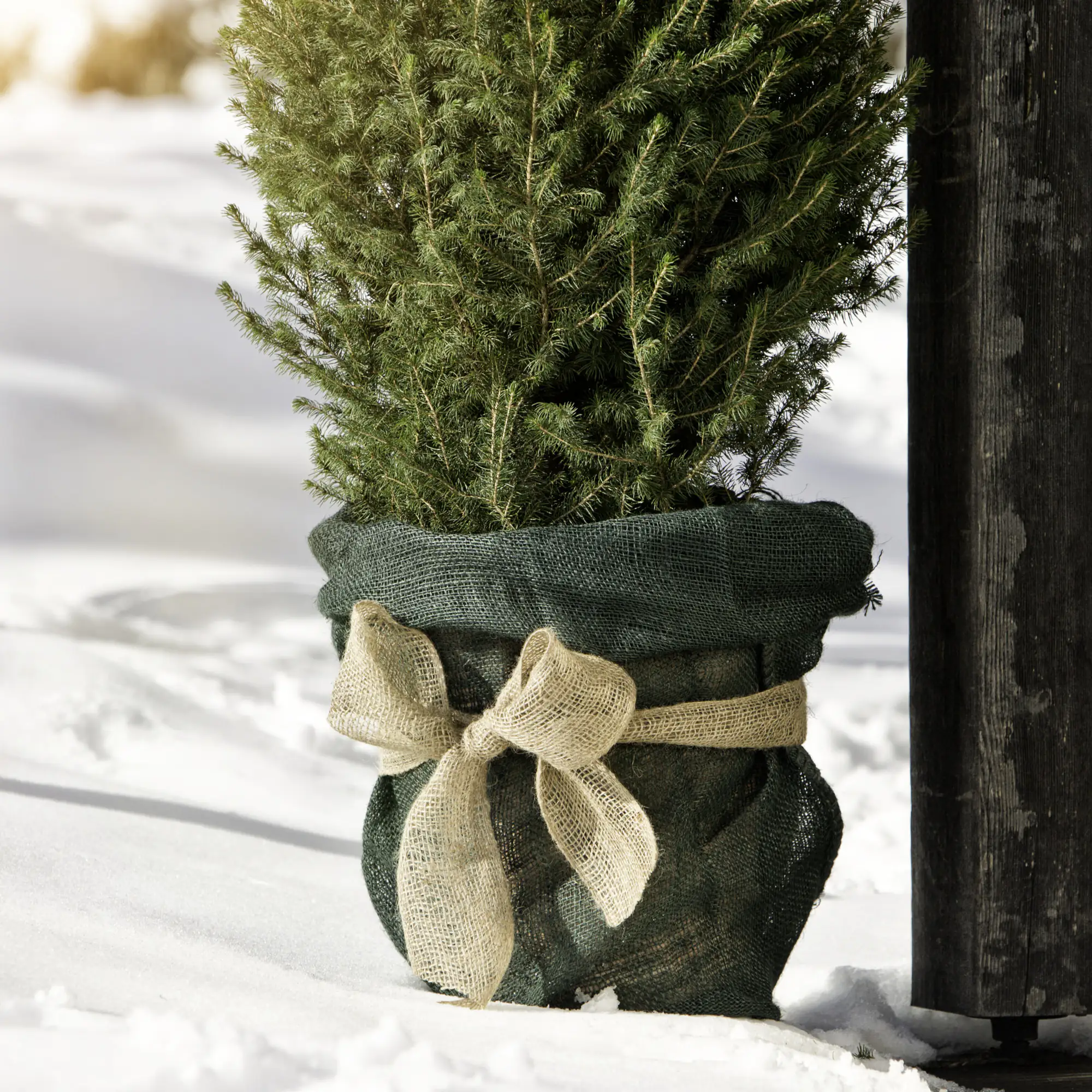 Windhager Jute-Sack 70 x 100 cm, grün