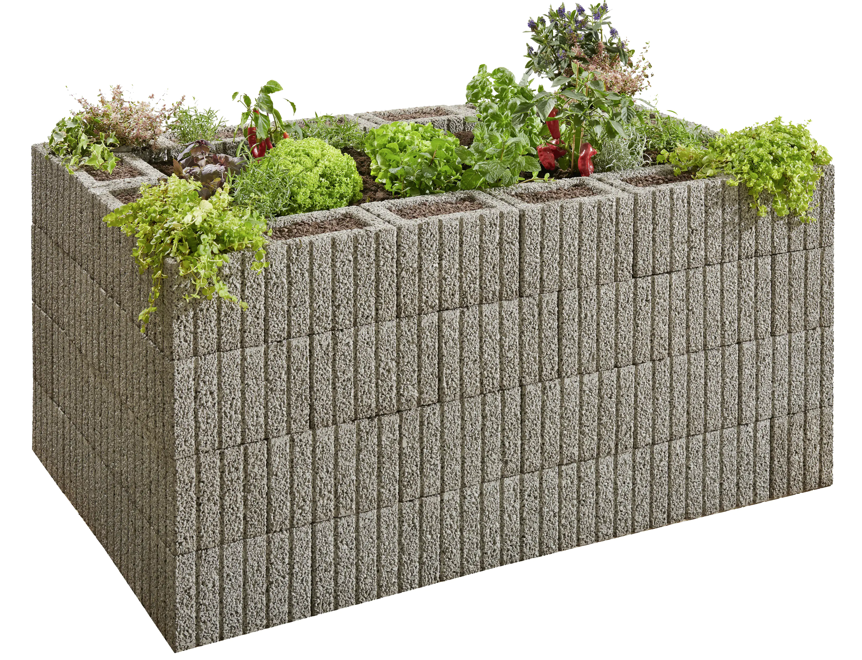 2077881026892_4 Kann Hochbeet-Set Pflanzstein Mini 170 x 110 x 80 cm grau