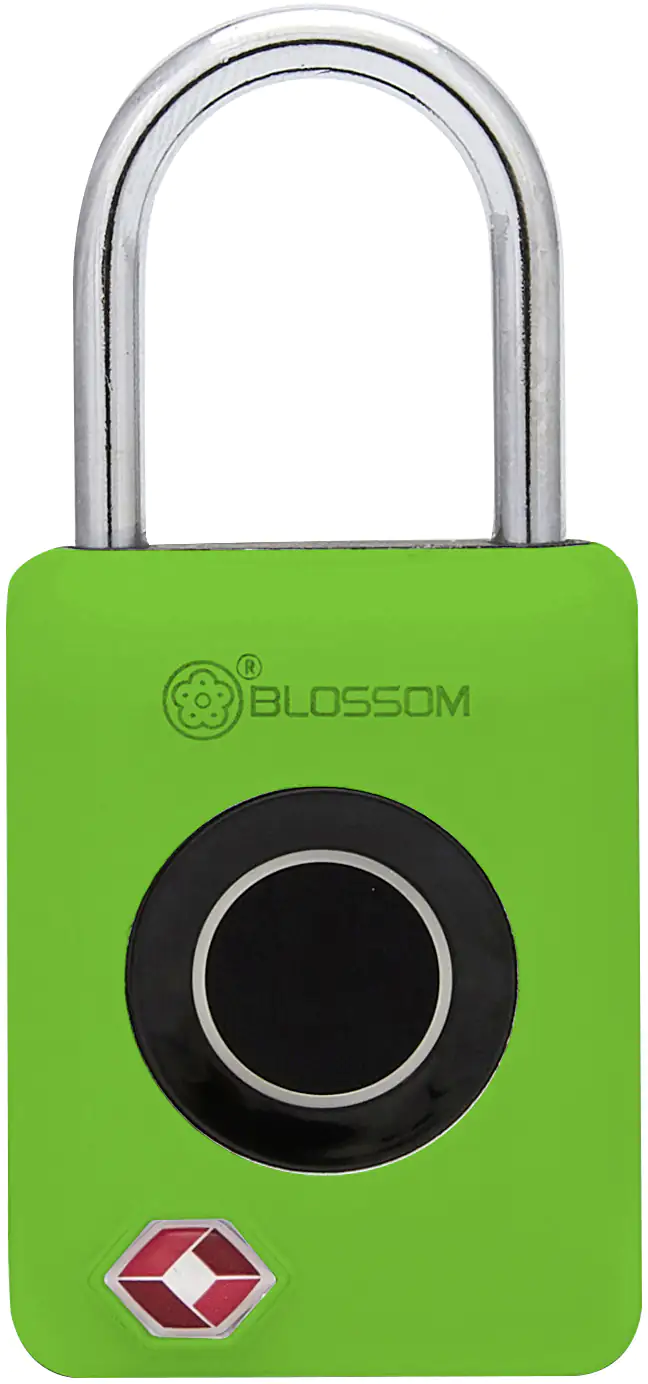 Südmetall Vorhängeschloss mit Fingerabdruck-Scan 30 x 18 mm