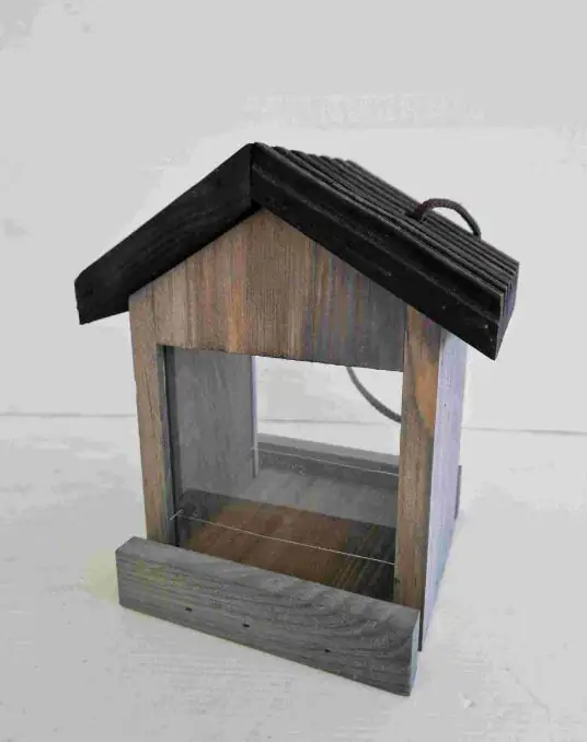 Vogelhaus Fabi mit Plexiglas grau kaufen Globus Baumarkt