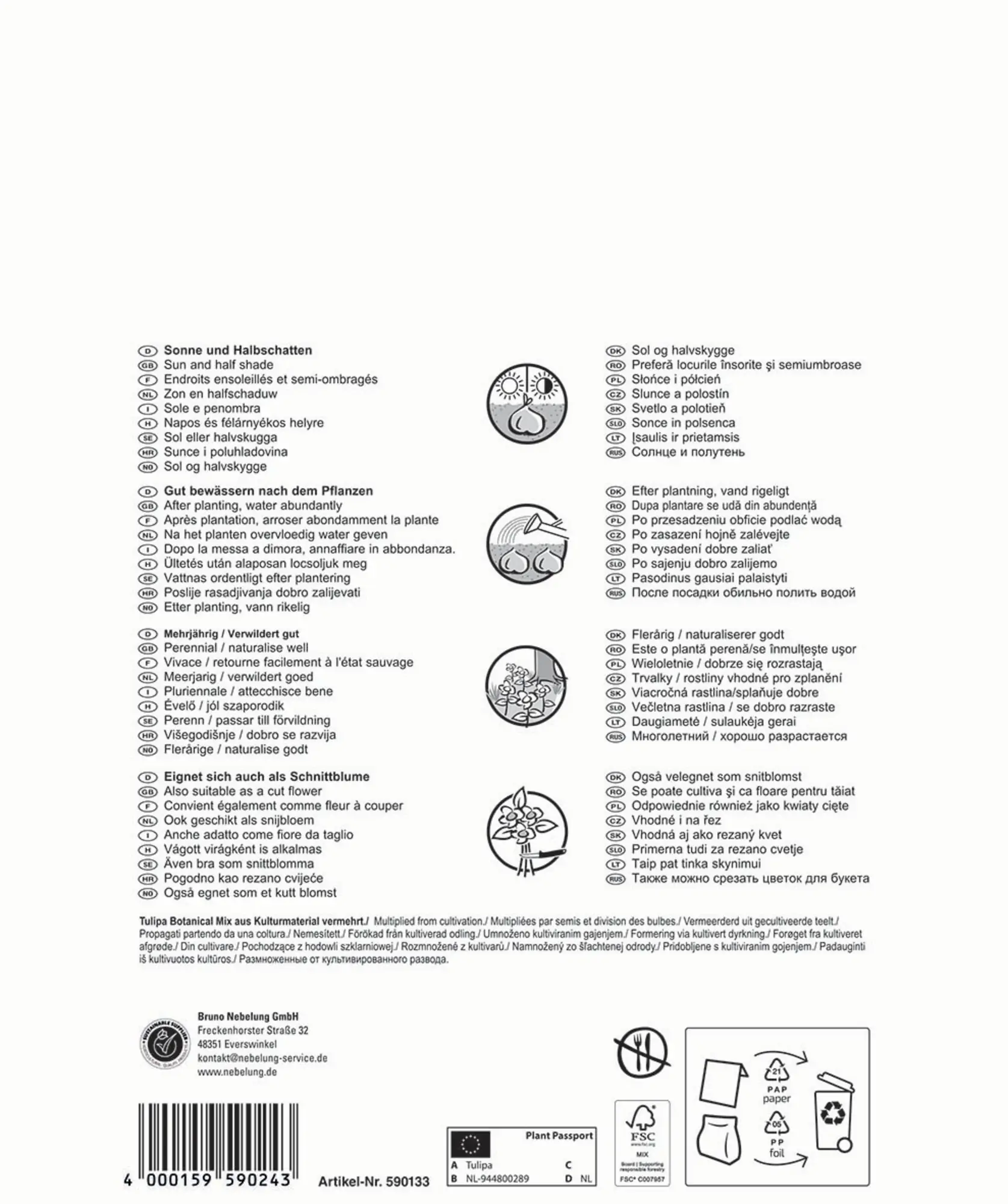 Pegasus Herbstblumenzwiebel Big Bag Bienentulpen Mischung 60 Stück