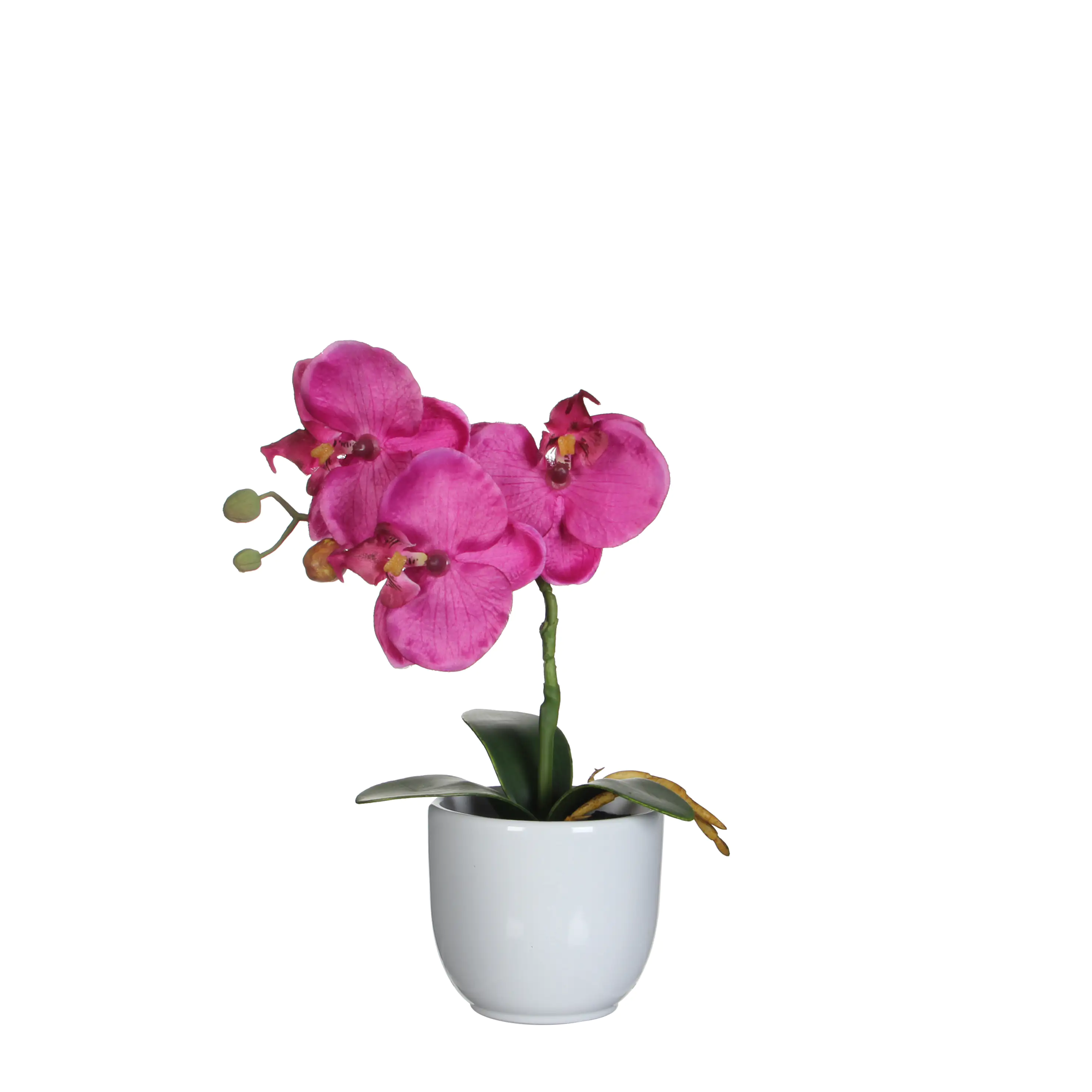 8712799476080 Mica Kunstpflanze Phalaenopsis im Topf violett, 26 x 12 cm