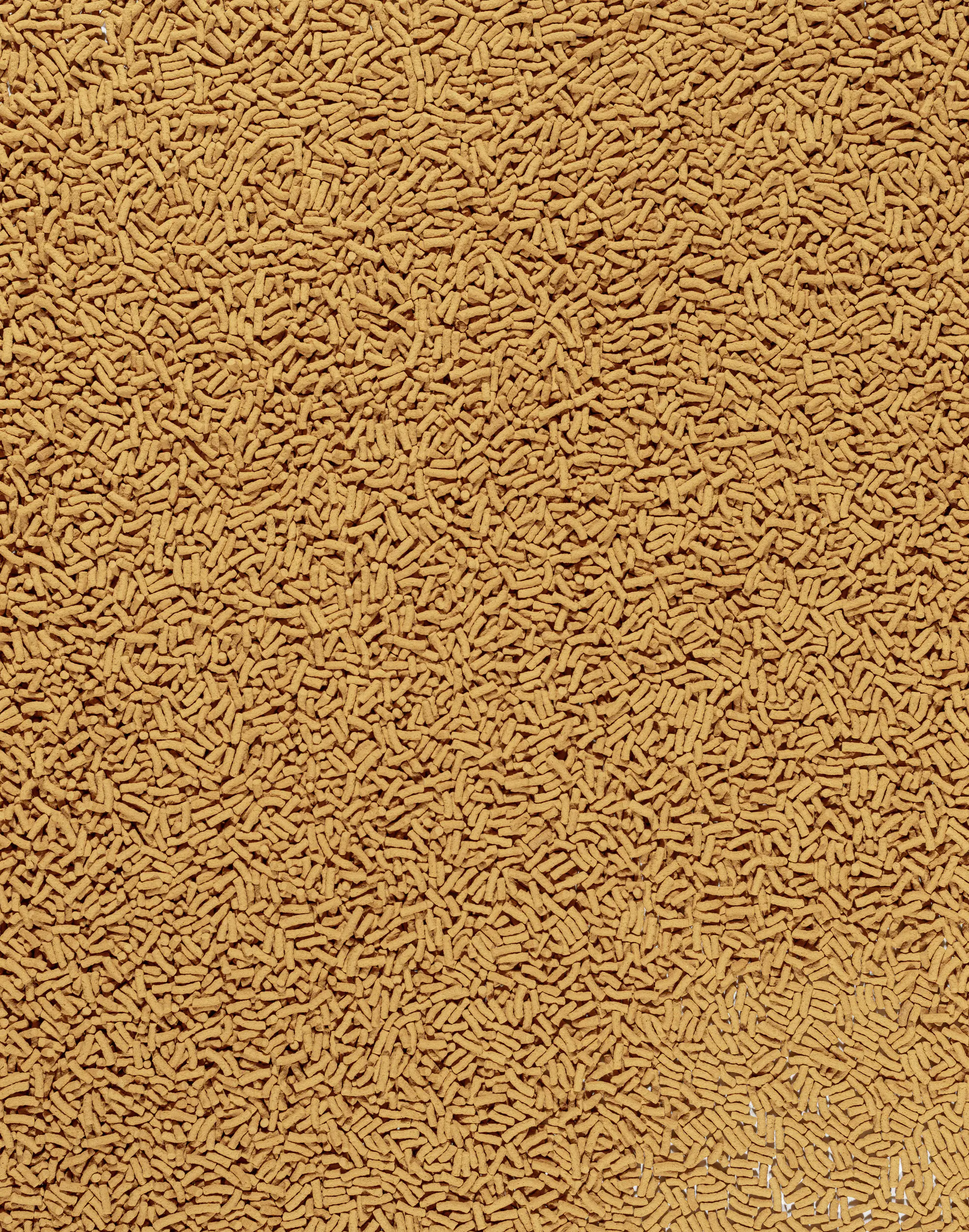 Tetra Pond Colour Teichsticks 10 L