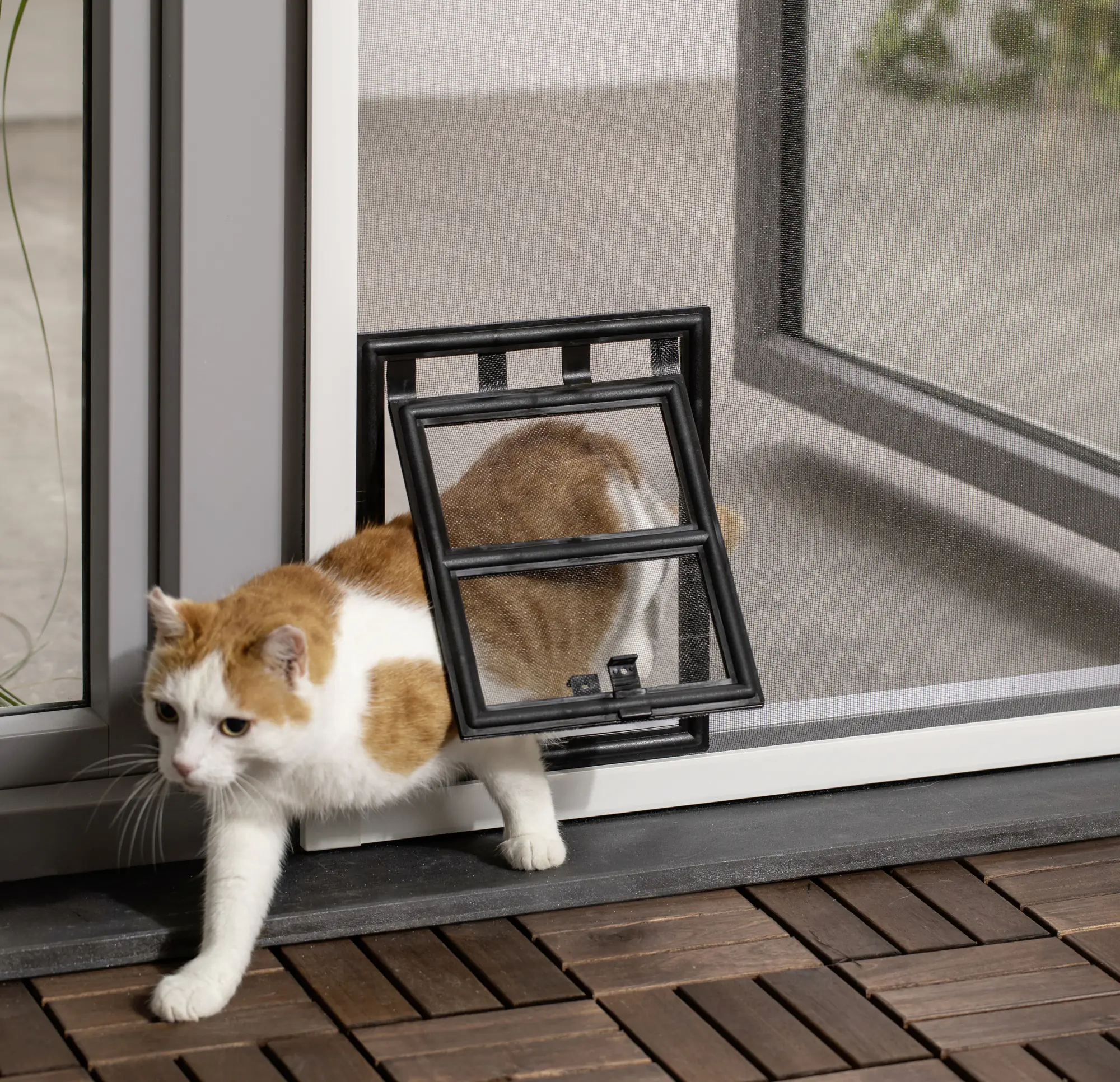 Primaster Katzenklappe für Fliegenschutzfenster 24 x 29 cm anthrazit Primaster Katzenklappe für Fliegenschutzfenster 24 x 29 cm anthrazit