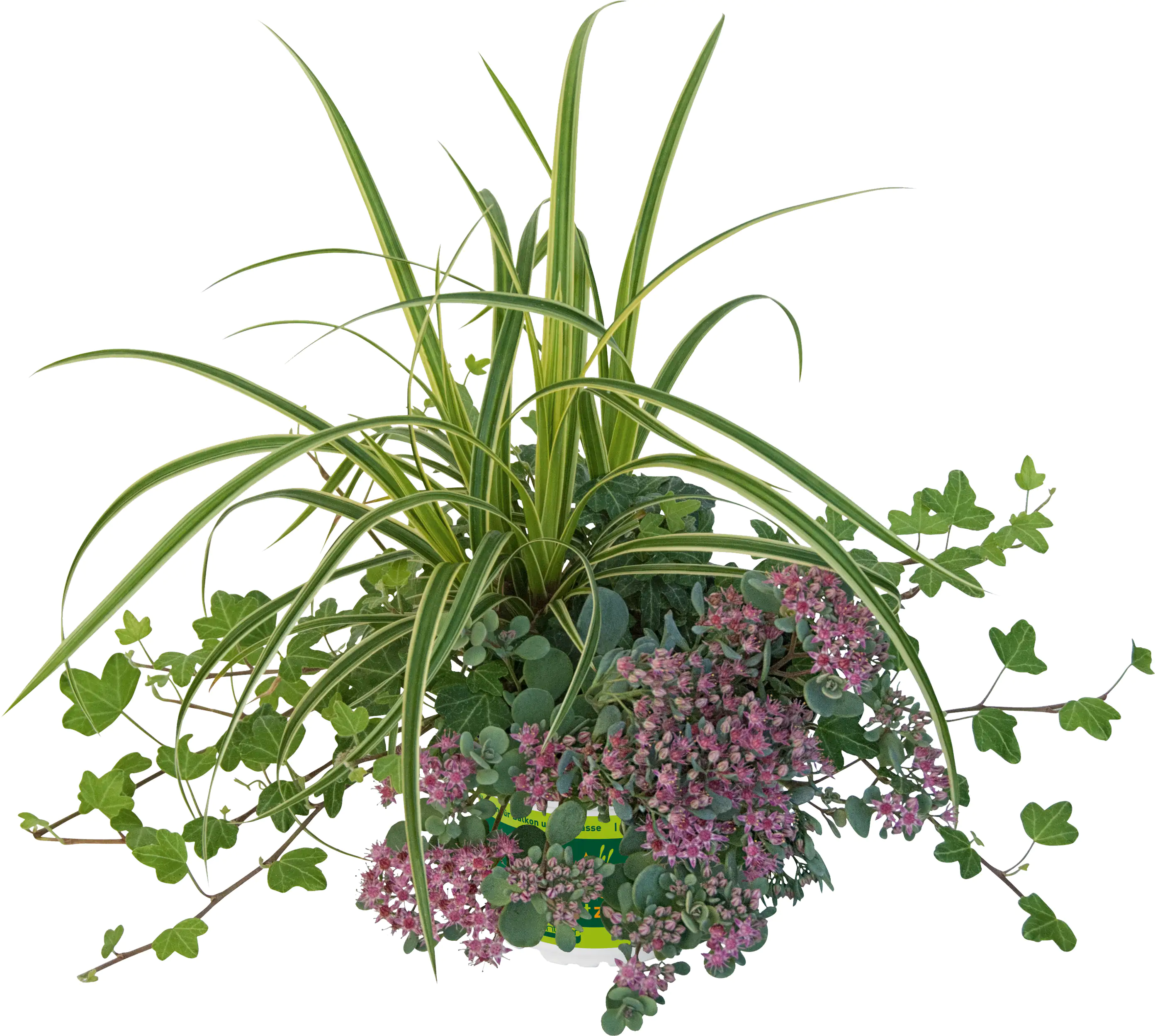 4016522018252 Trio-Mio Herbstzauber 5 l Container